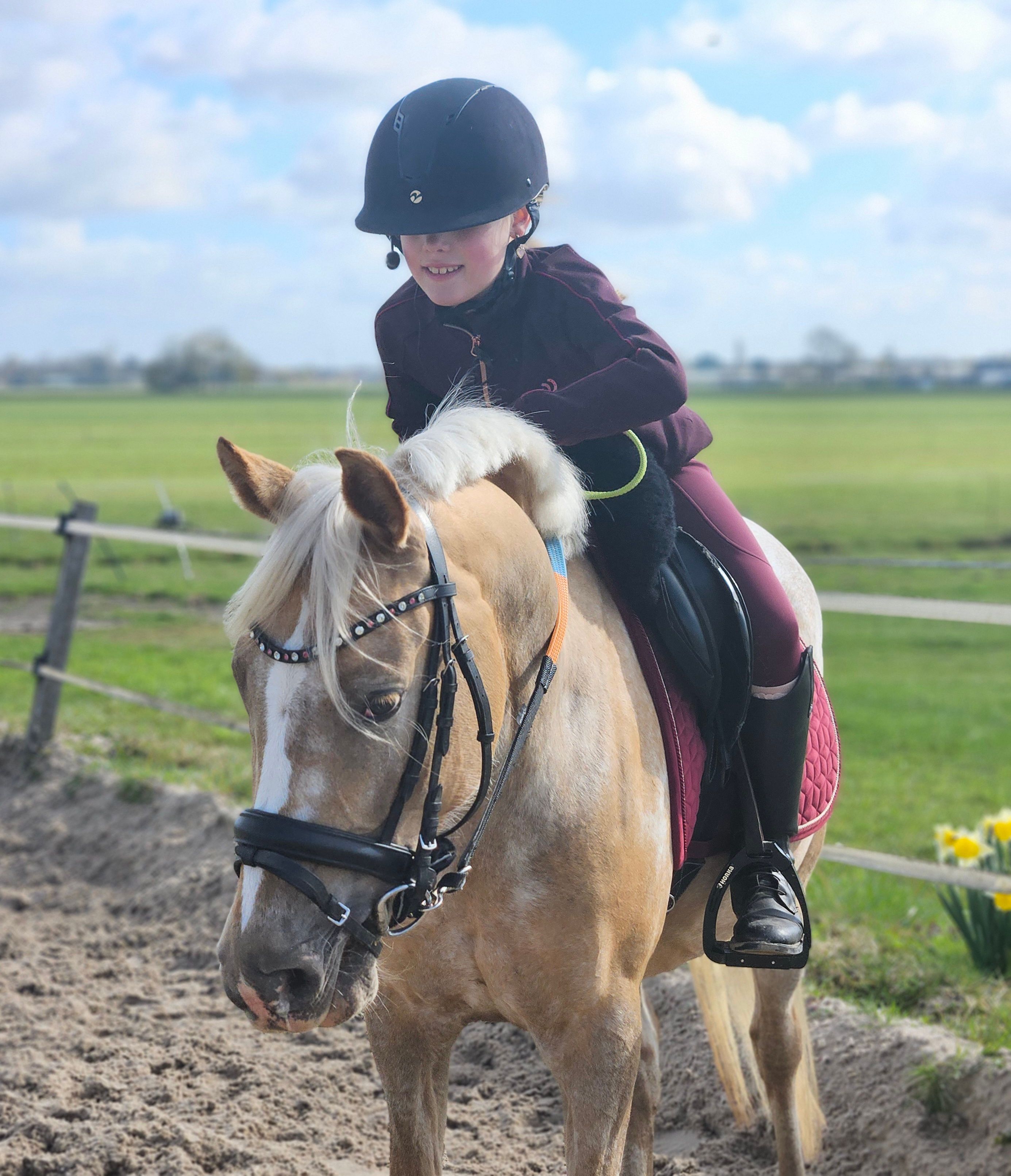 Awesome, great moving, large C pony!