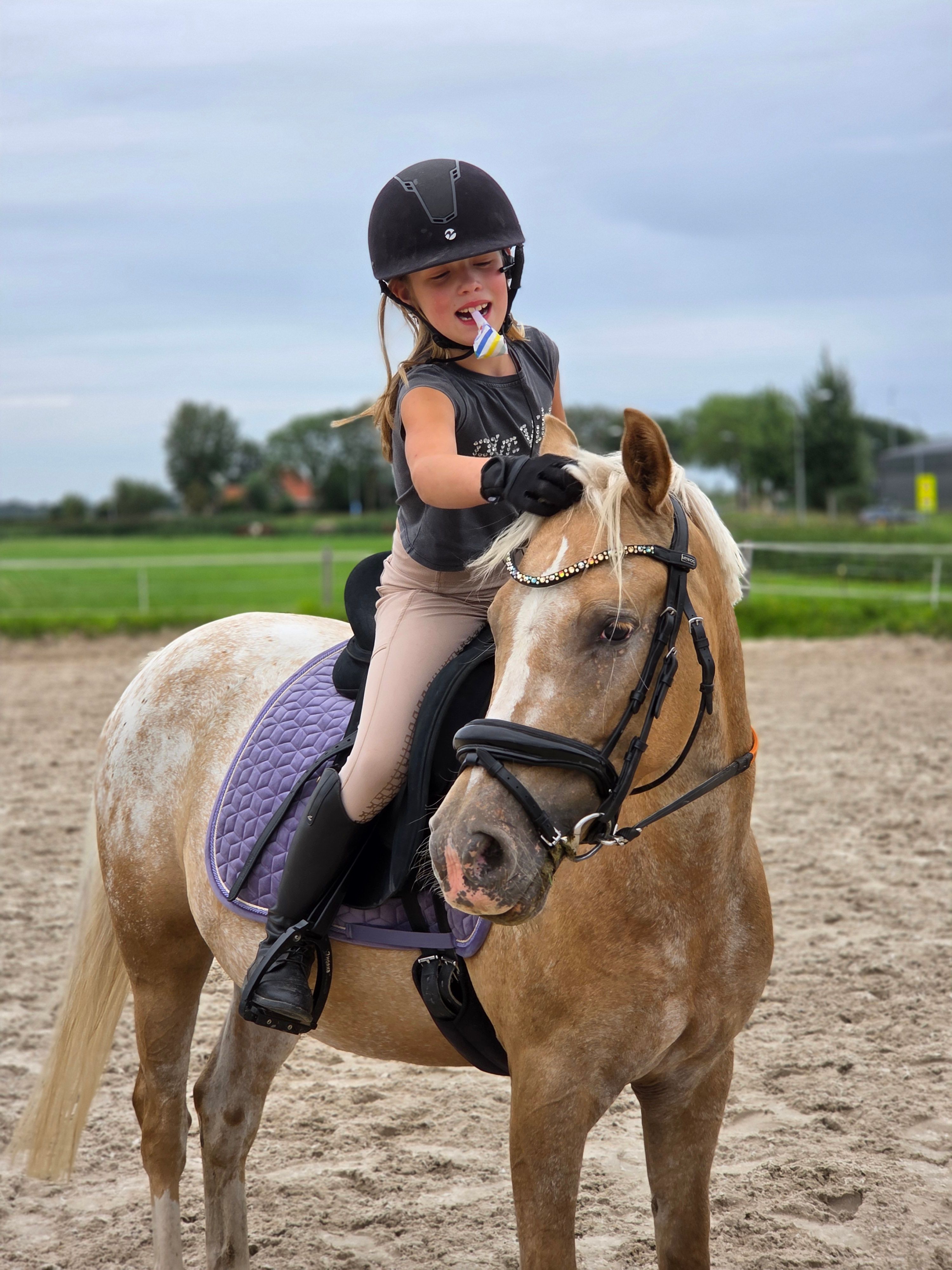 nrps allround-pony merrie 7 år palomino till salu - Foto 2