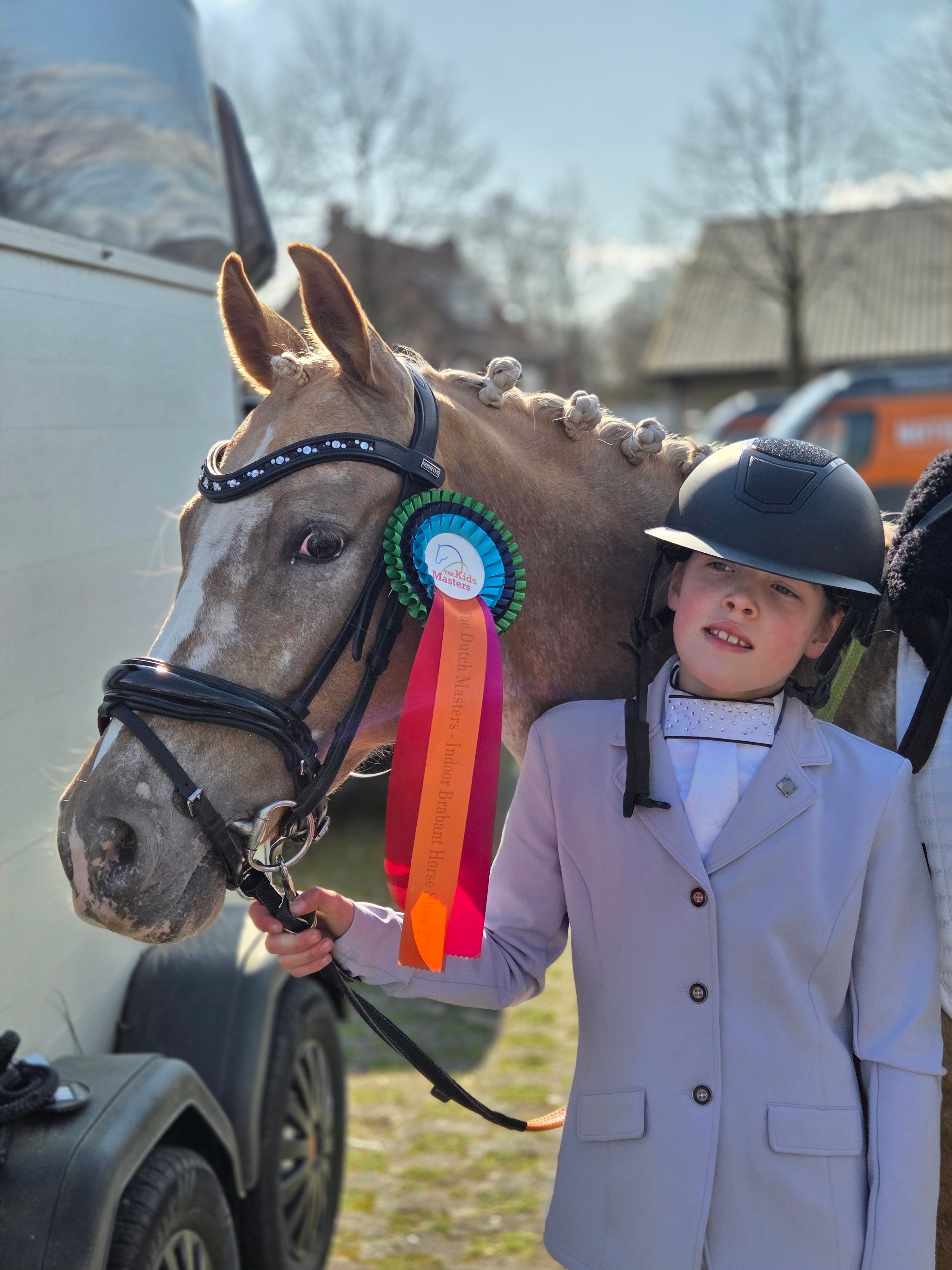 nrps allround-pony merrie 7 år palomino till salu - Foto 4