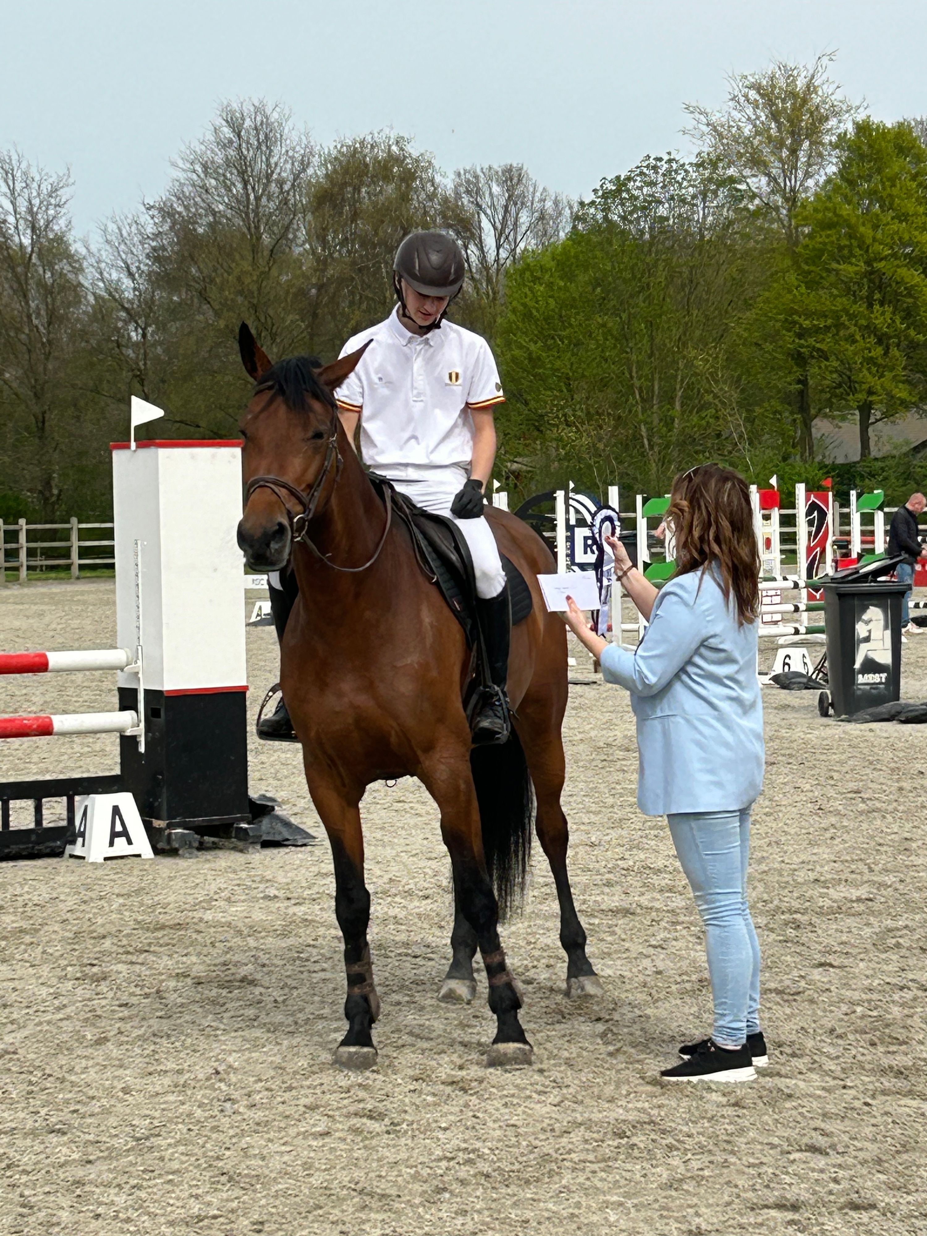 kwpn springpaard merrie 9 岁 donkerbruin 出售 - 照片 6