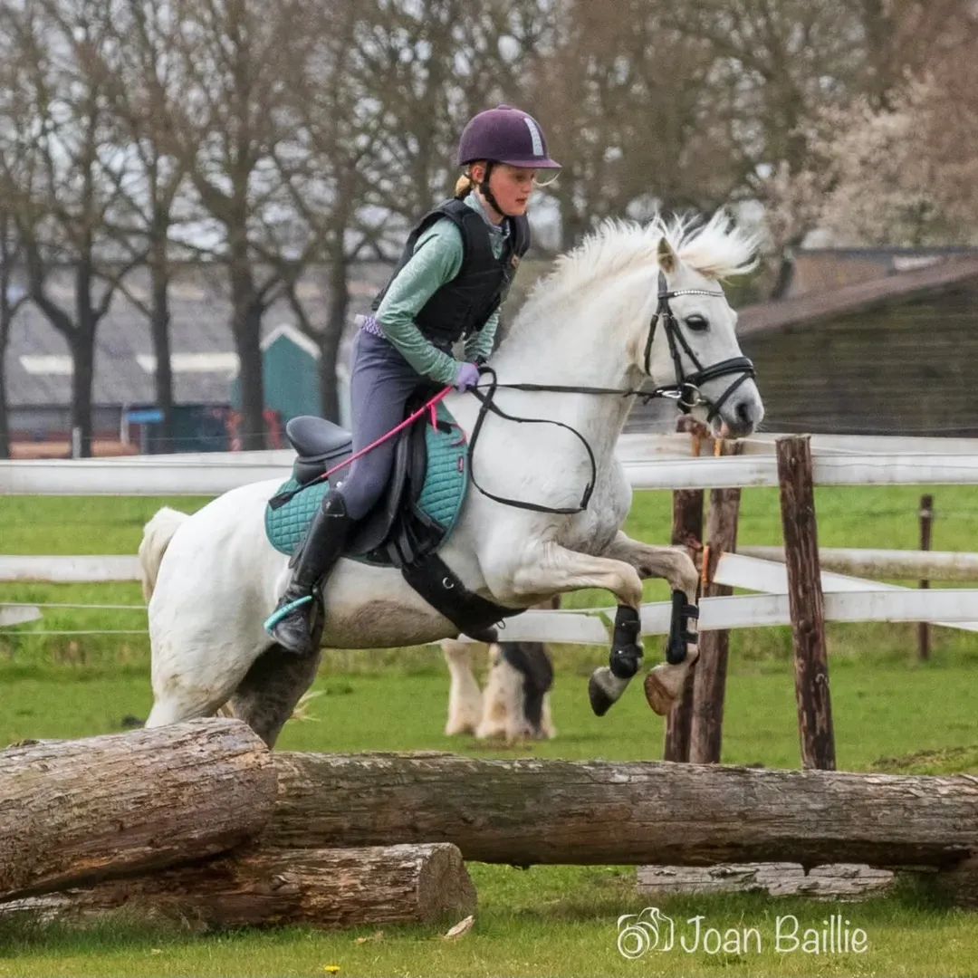 Super poney de sport pour enfants très doux