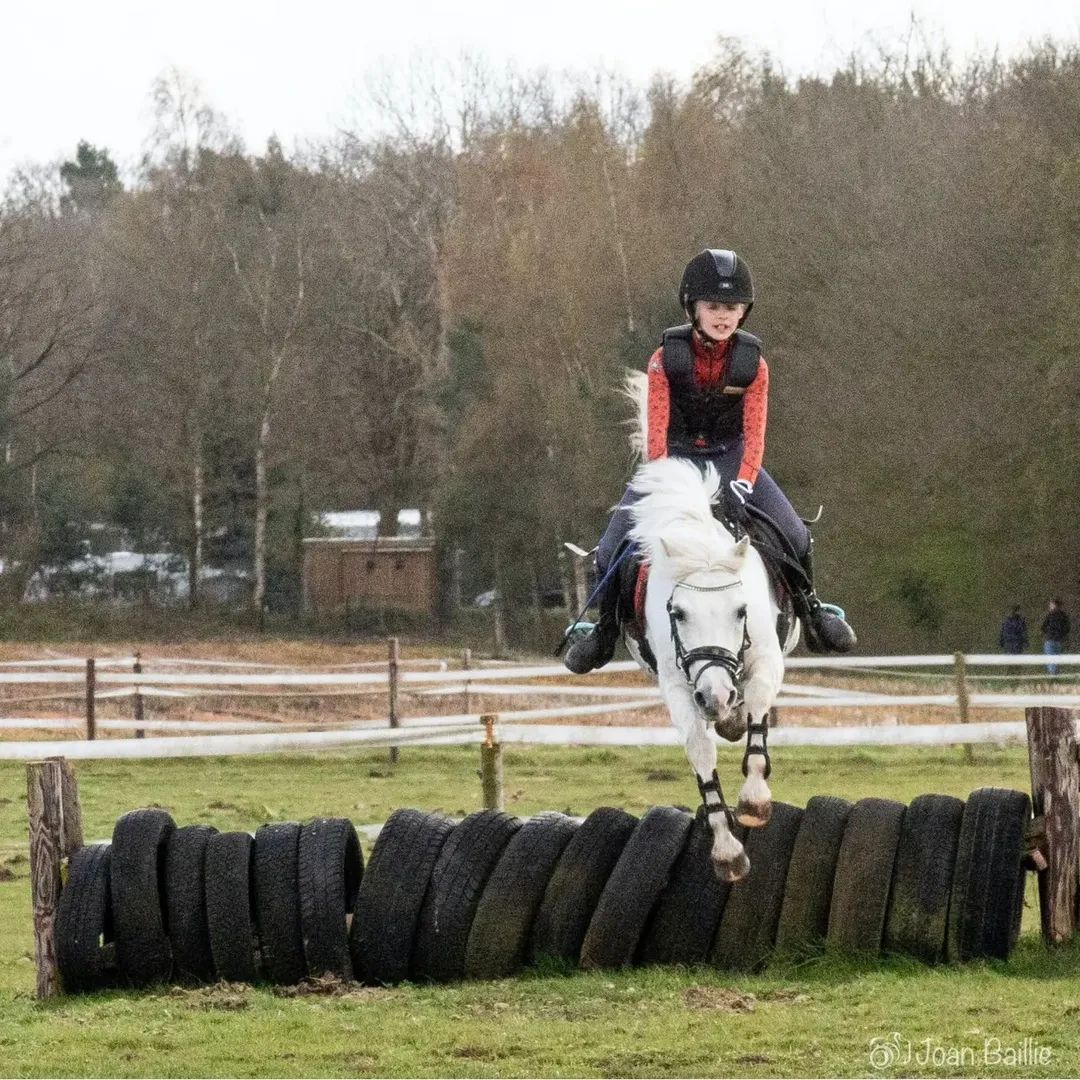 welsh allround-pony merrie 13 ans schimmel à vendre - Photo 3