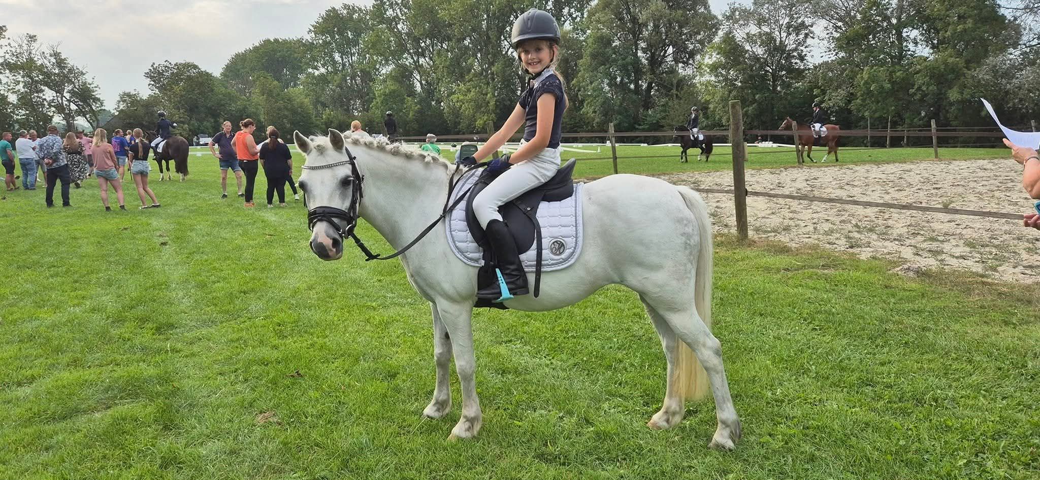 welsh allround-pony merrie 13 ans schimmel à vendre - Photo 5