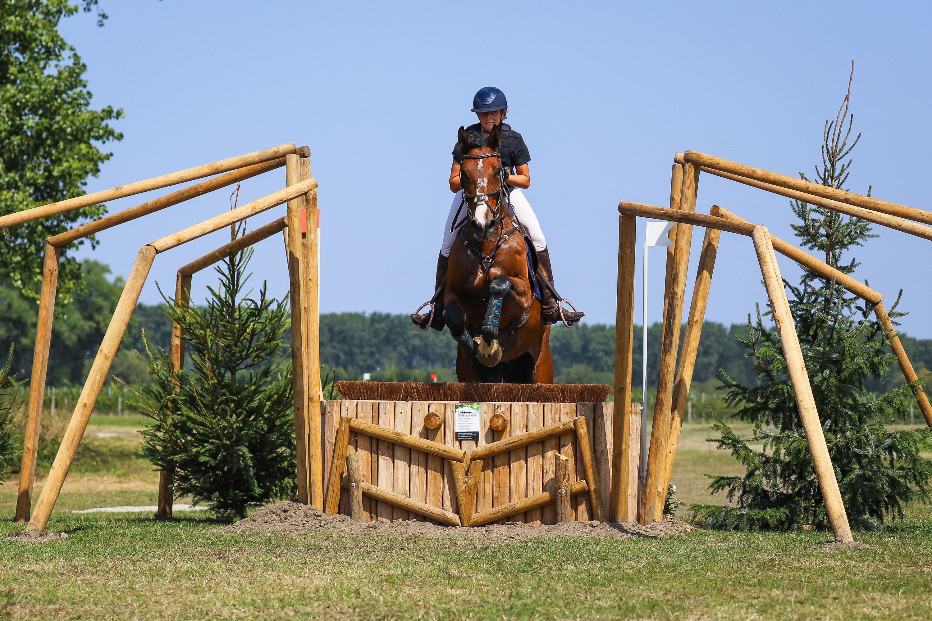 bwp eventingpaard ruin 7 ani bruin de vânzare - Foto 4