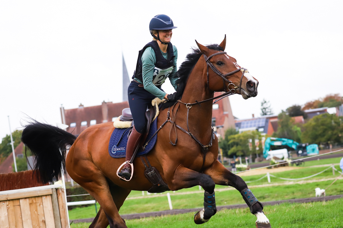 bwp eventingpaard ruin 7 ani bruin de vânzare - Foto 5