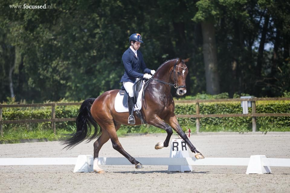 Lieve 6 jarige ruin op Z niveau