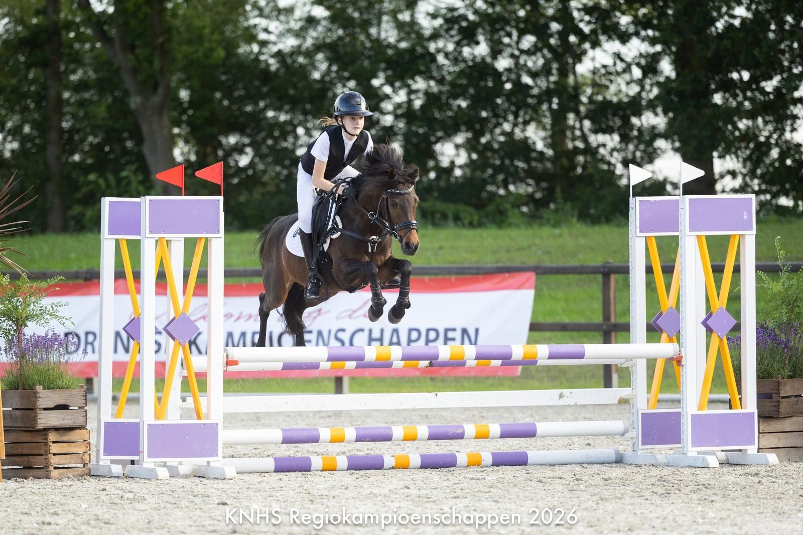 Pony sportivo C affidabile e di talento