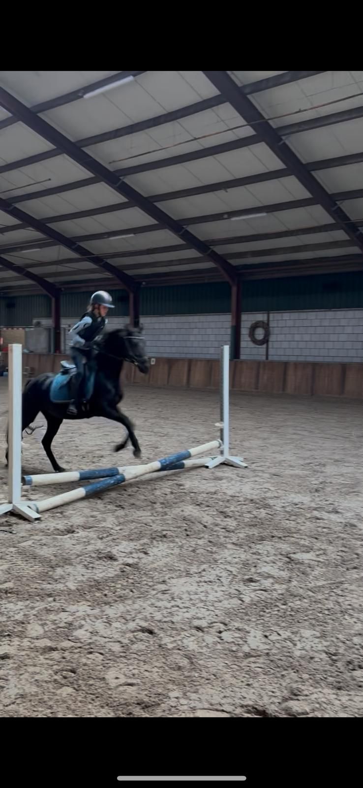 brits recreatie-pony merrie 7 jaar zwart te koop - Foto 3