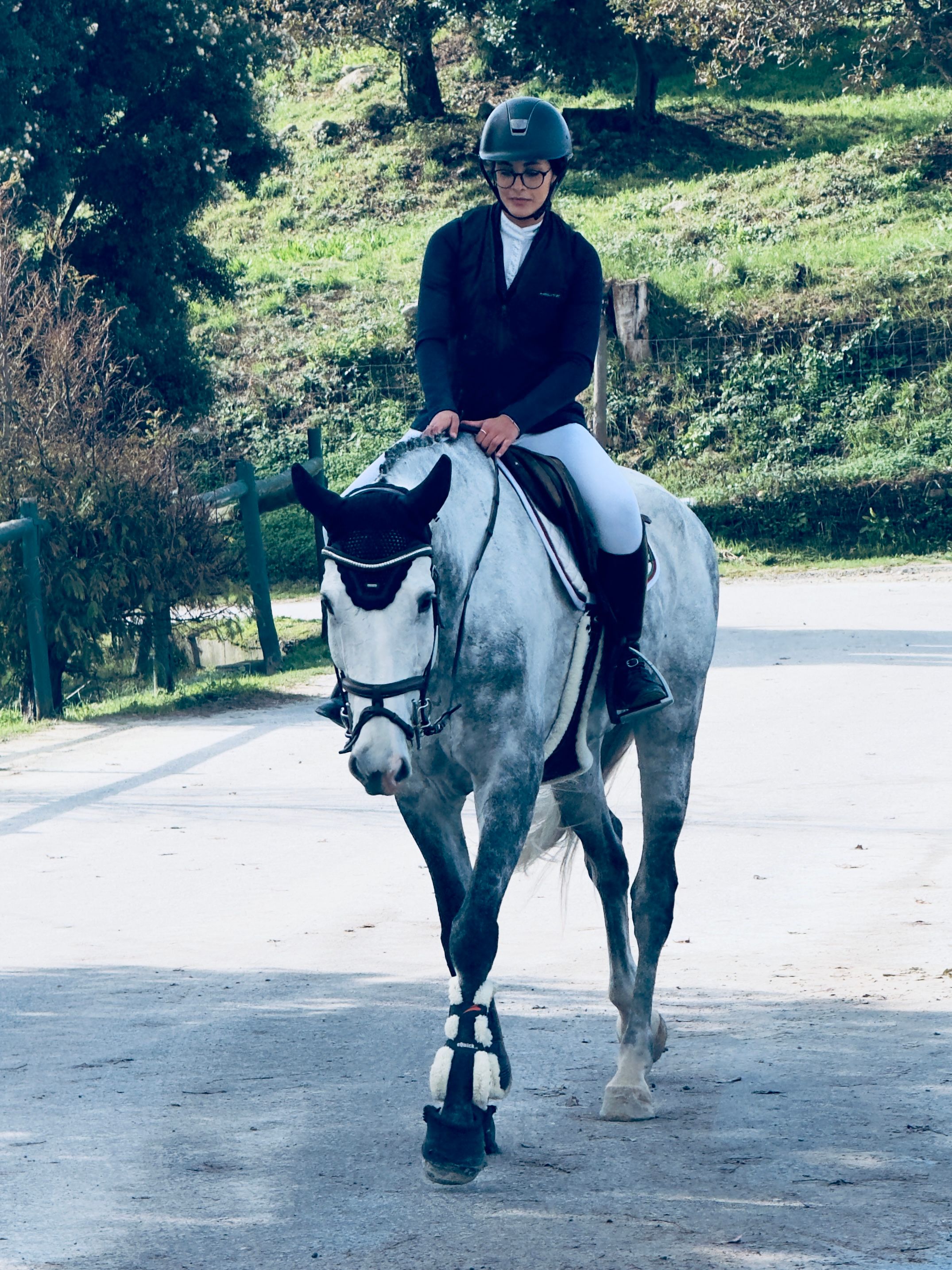 spaans springpaard ruin 9 rokov palomino na predaj - Foto 3