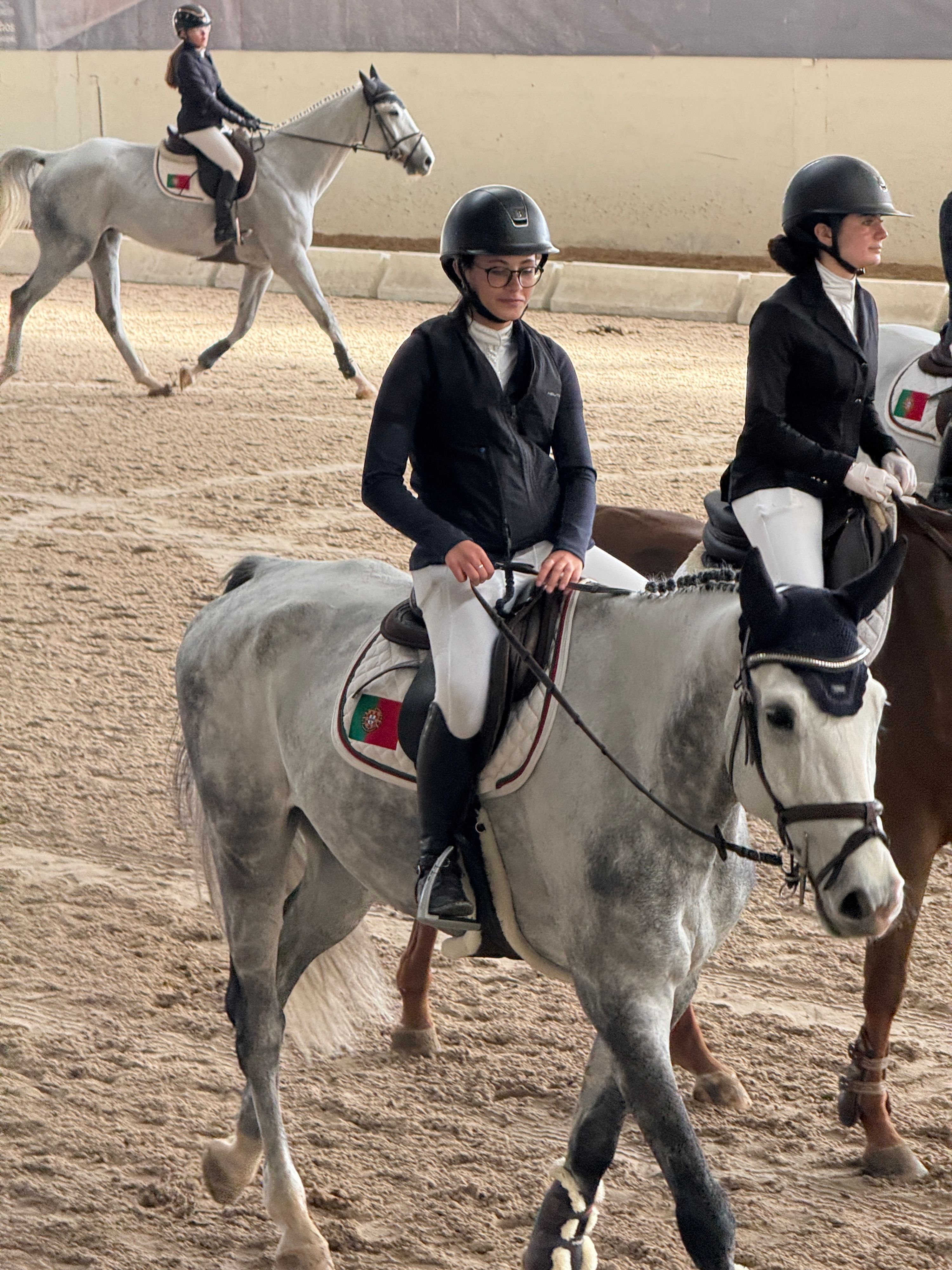 spaans springpaard ruin 9 rokov palomino na predaj - Foto 5