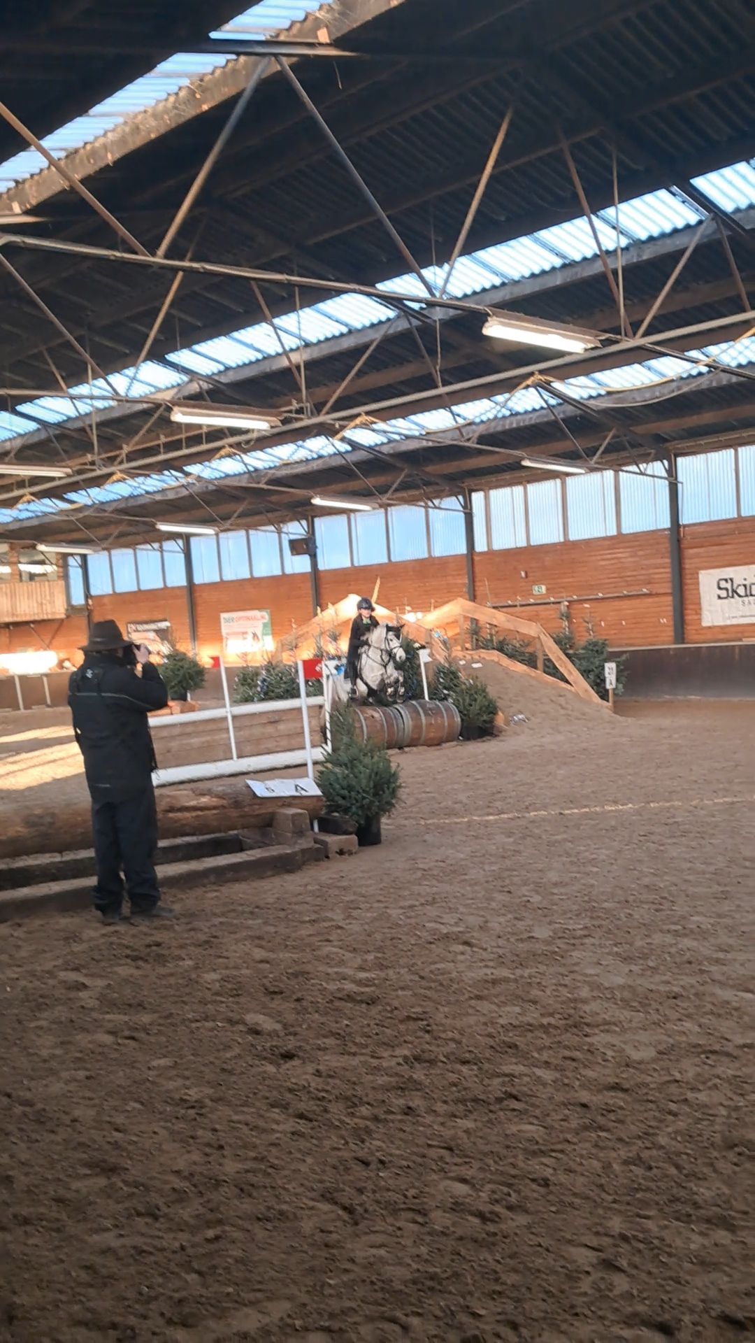 welsh allround-pony merrie 9 years old schimmel for sale - Photo 5