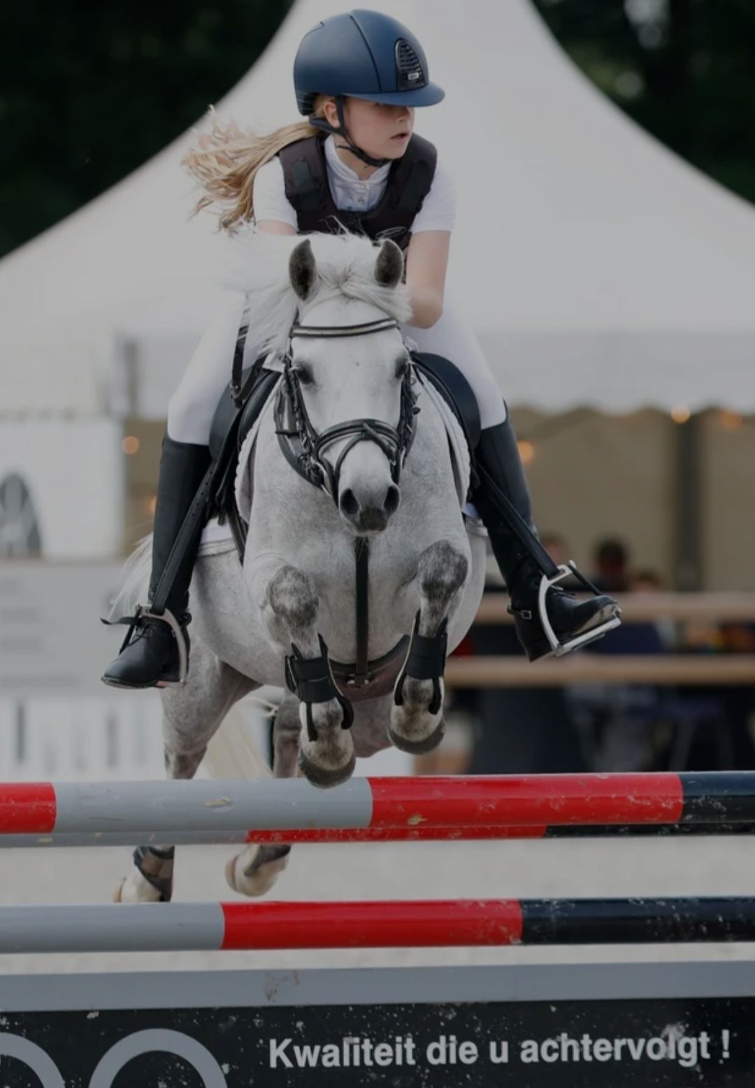 Fancy STER mare C-pony