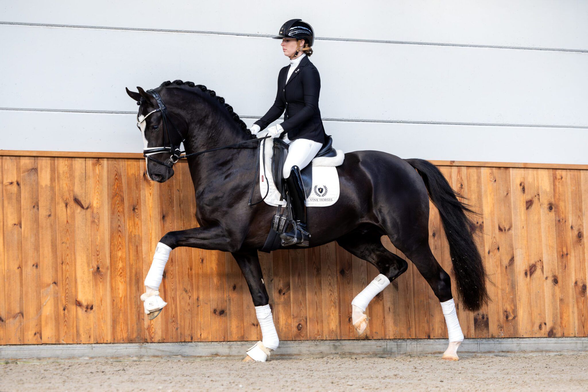 kwpn dressuurpaard merrie 0 años zwart en venta - Foto 2