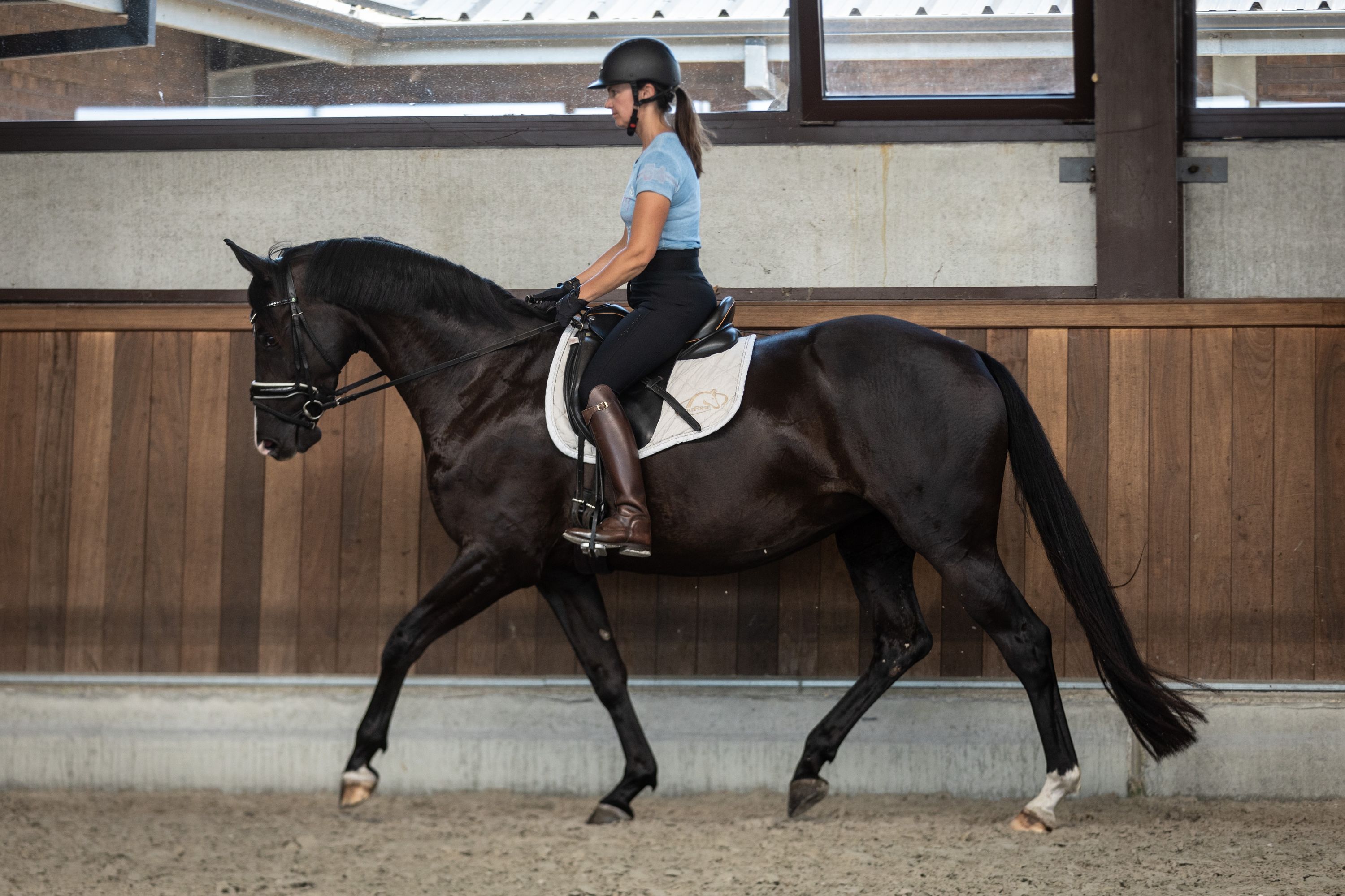 bwp dressuurpaard merrie 4 Jahre alt zwart zu verkaufen - Foto 4