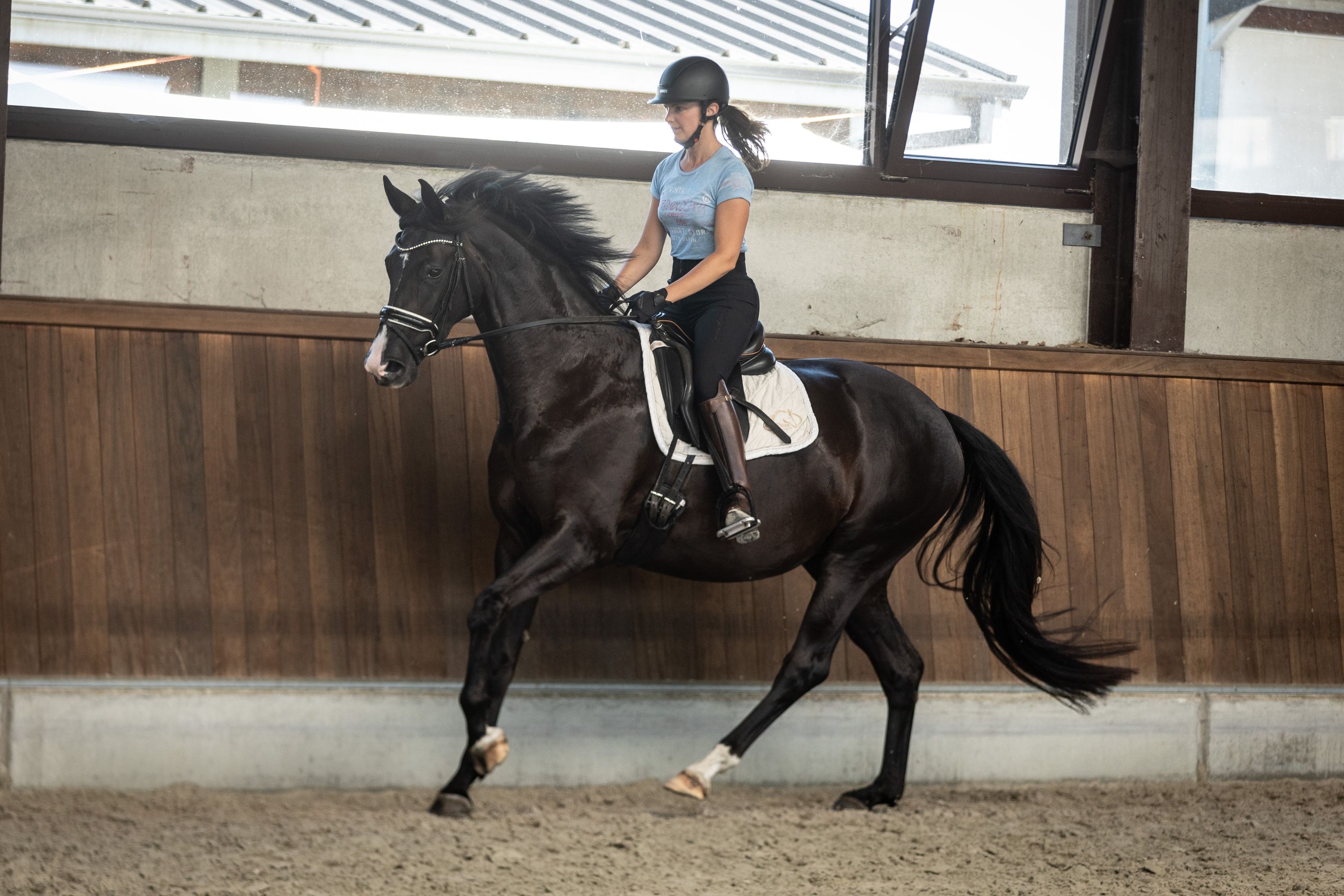 bwp dressuurpaard merrie 4 Jahre alt zwart zu verkaufen - Foto 6