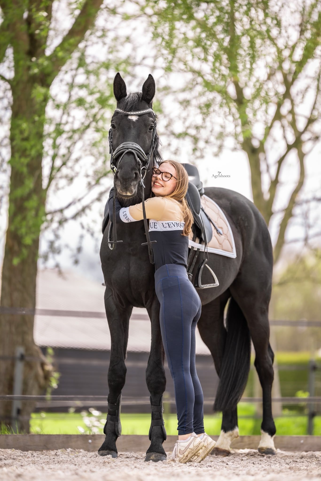 oldenburg dressuurpaard ruin 4 سنوات zwart للبيع - صورة 2