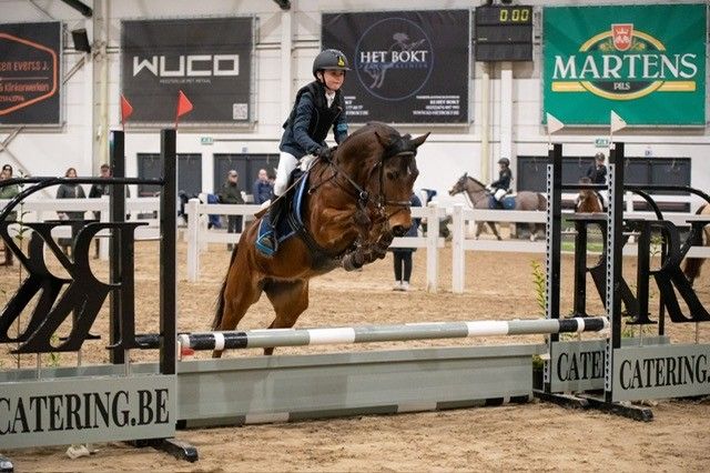 Joli poney C à vendre