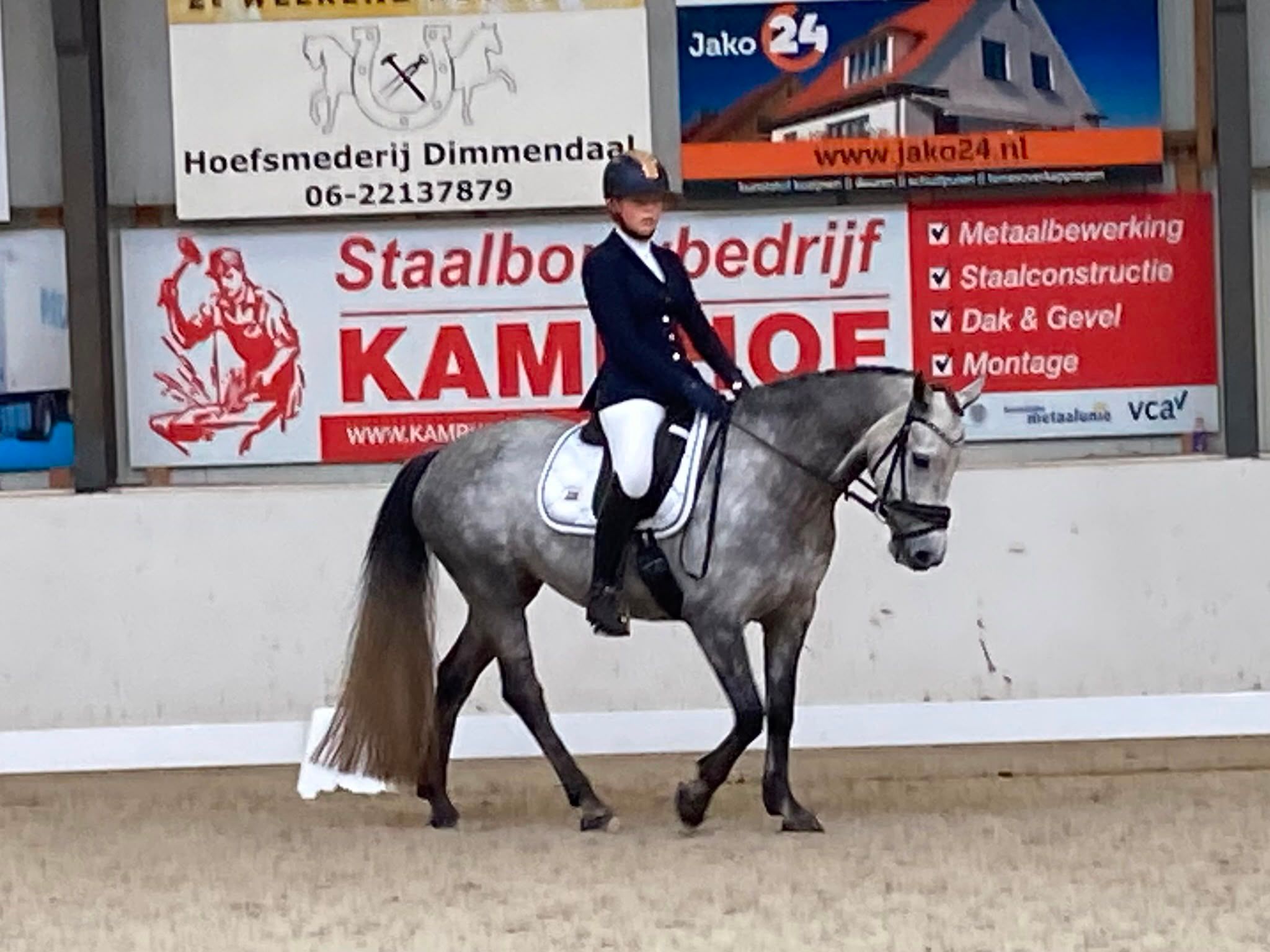 connemara allround-pony merrie 9 سنوات schimmel للبيع - صورة 5