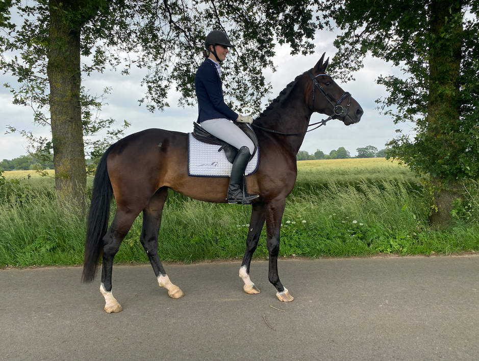 kwpn dressuurpaard merrie 5 años zwart en venta - Foto 3