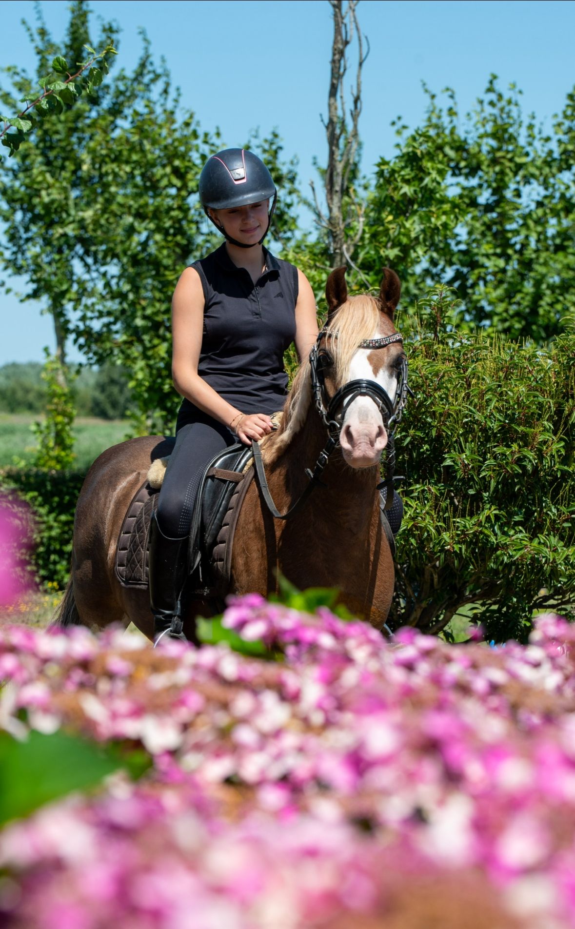 Welsh allround-pony Ruin 7 år vos til salgs - Foto 6