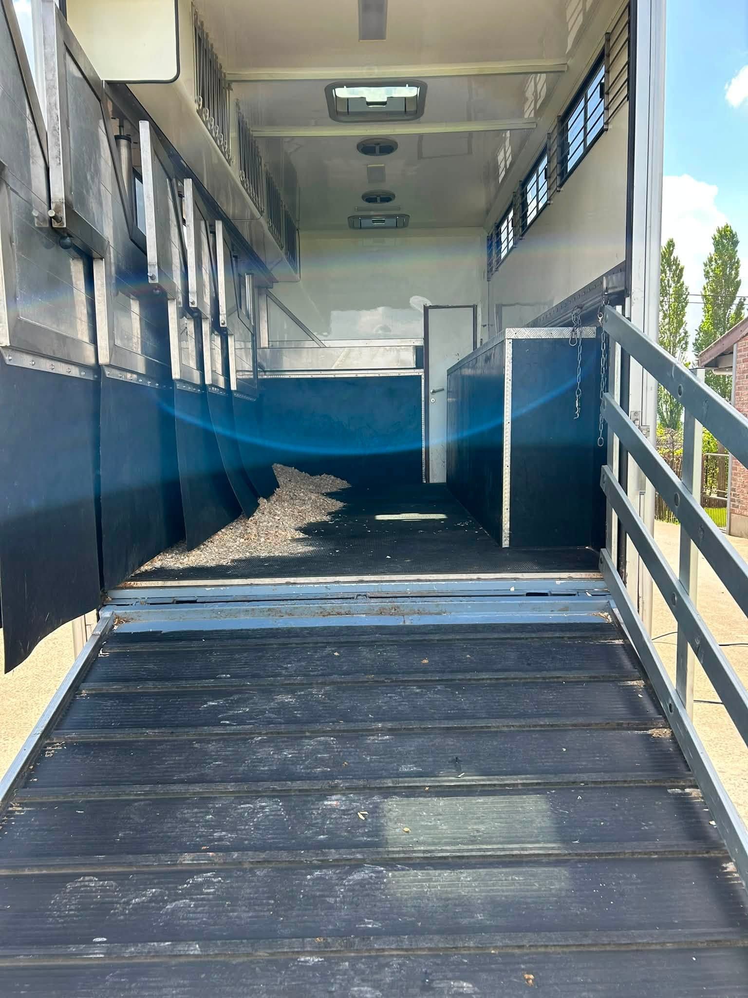 Grijs te koop - Foto 6