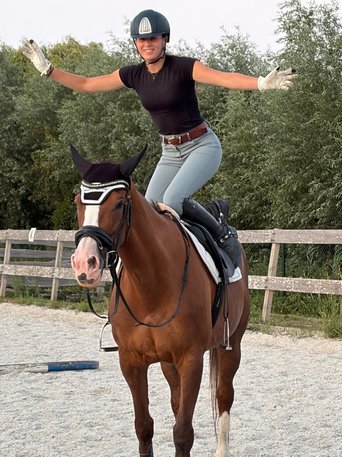 kwpn dressuurpaard merrie 17 歳 vos 売り出し中 - 写真 4