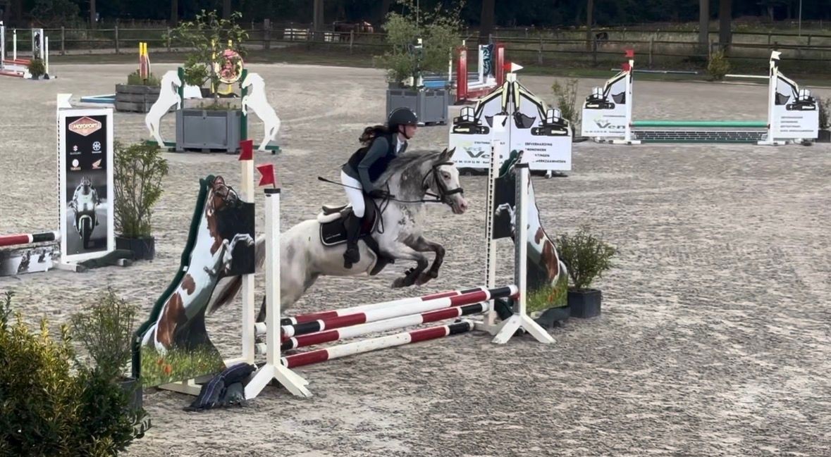 appaloosa-pony springpony ruin 5 år andere-kleur til salgs - Foto 3