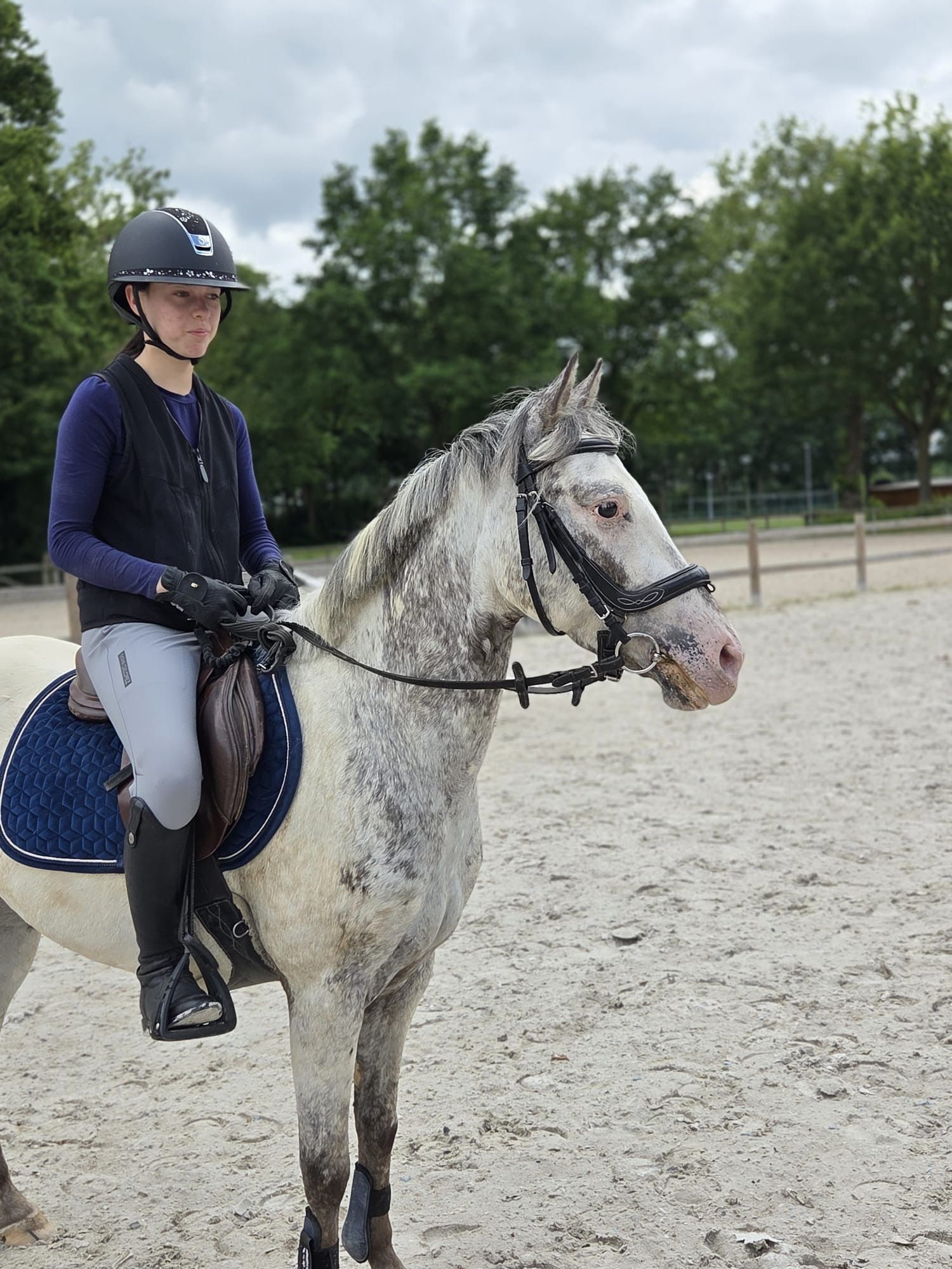 appaloosa-pony springpony ruin 5 år andere-kleur til salgs - Foto 6