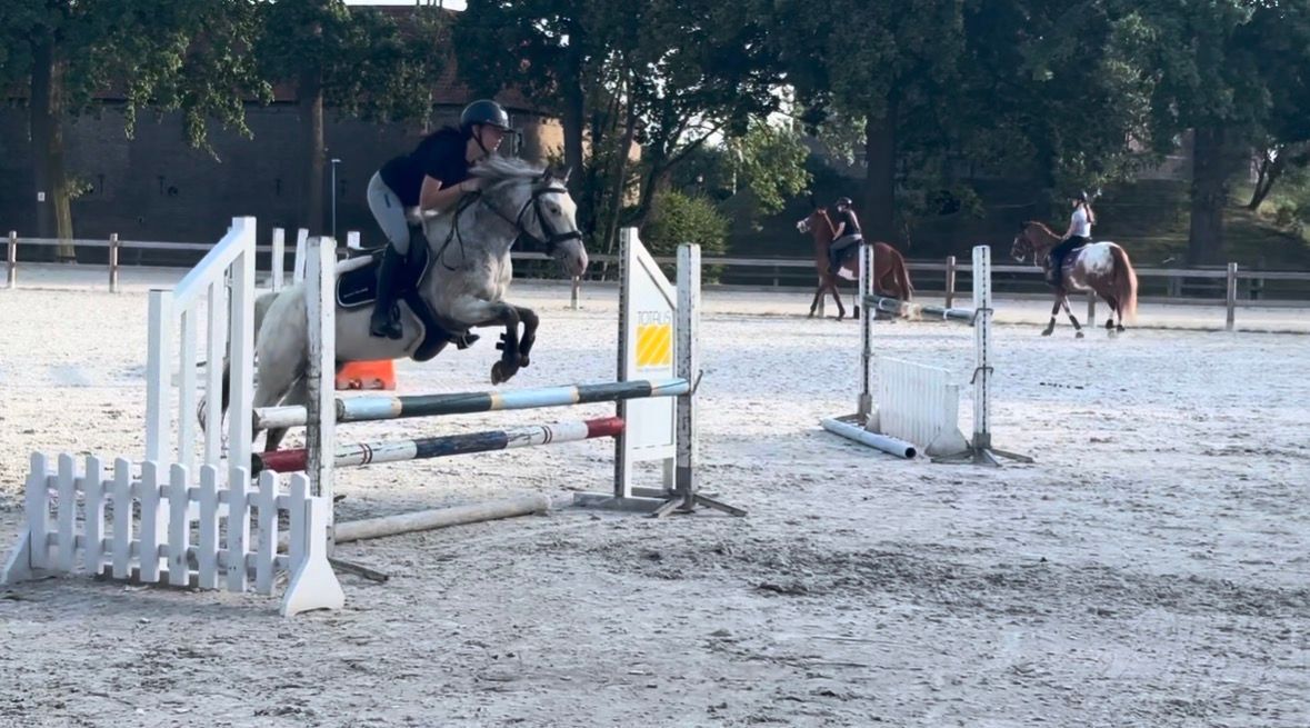appaloosa-pony springpony ruin 5 år andere-kleur til salgs - Foto 4