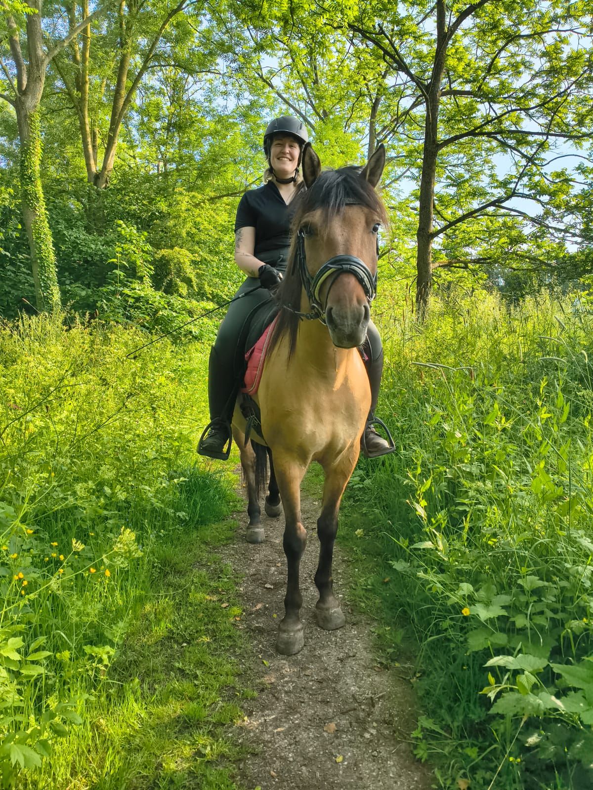 ander allround-pony ruin 4 år andere-kleur till salu - Foto 6