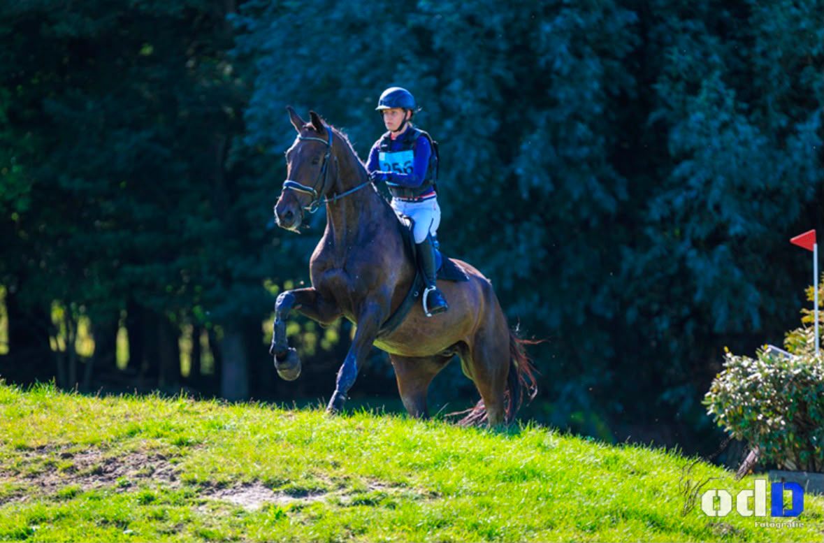Brave alround leermeester