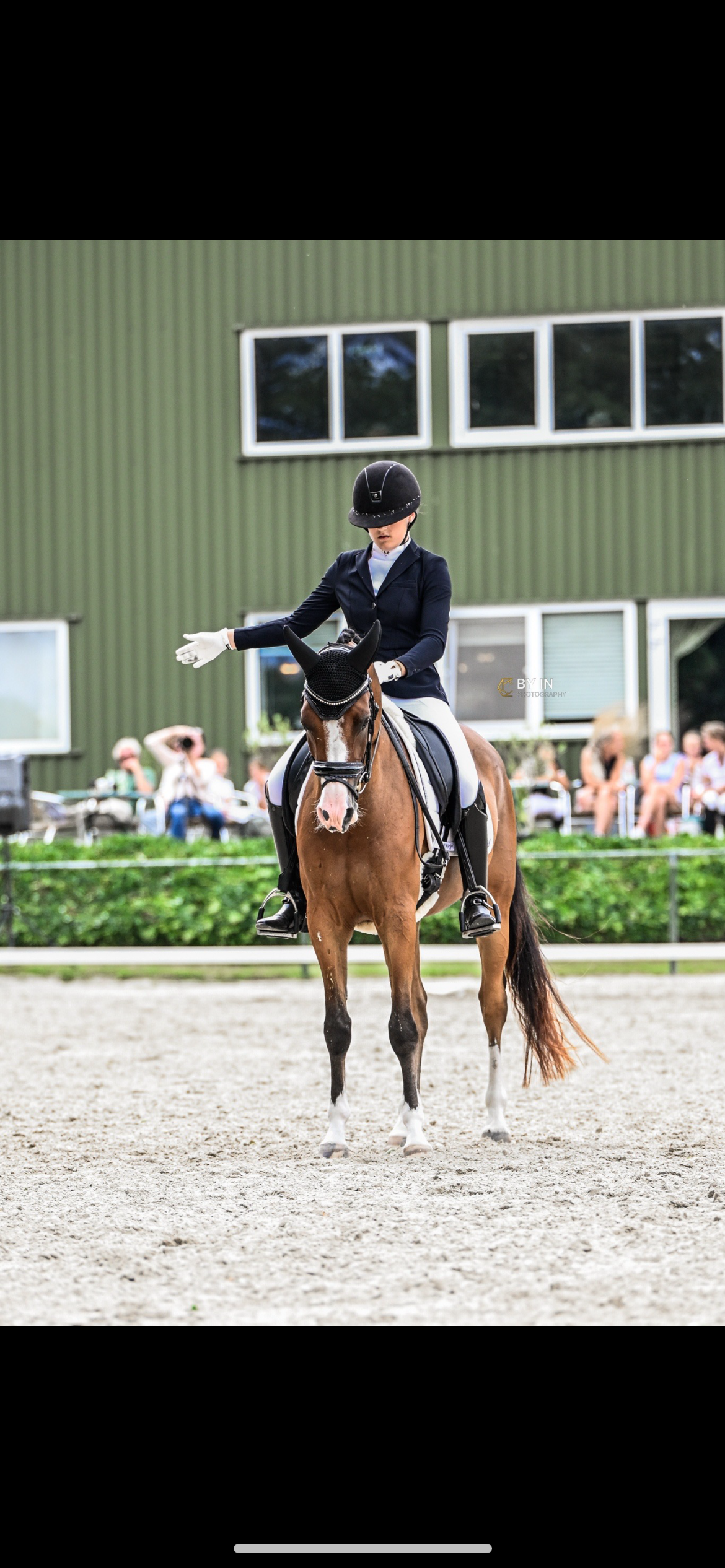 nrps dressuurpony ruin 7 vuotta bruin myytävänä - Kuva 2