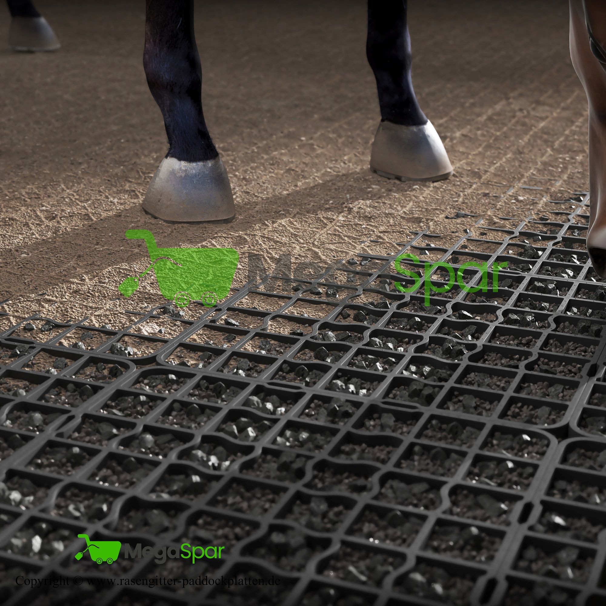 Buy ReitPRO 40 Paddock Tiles | Grass Pavers & Paddock Grid for Horses - Photo 4