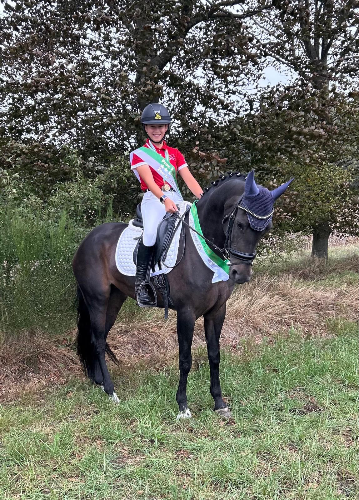 Eyecatcher with championship titles in dressage