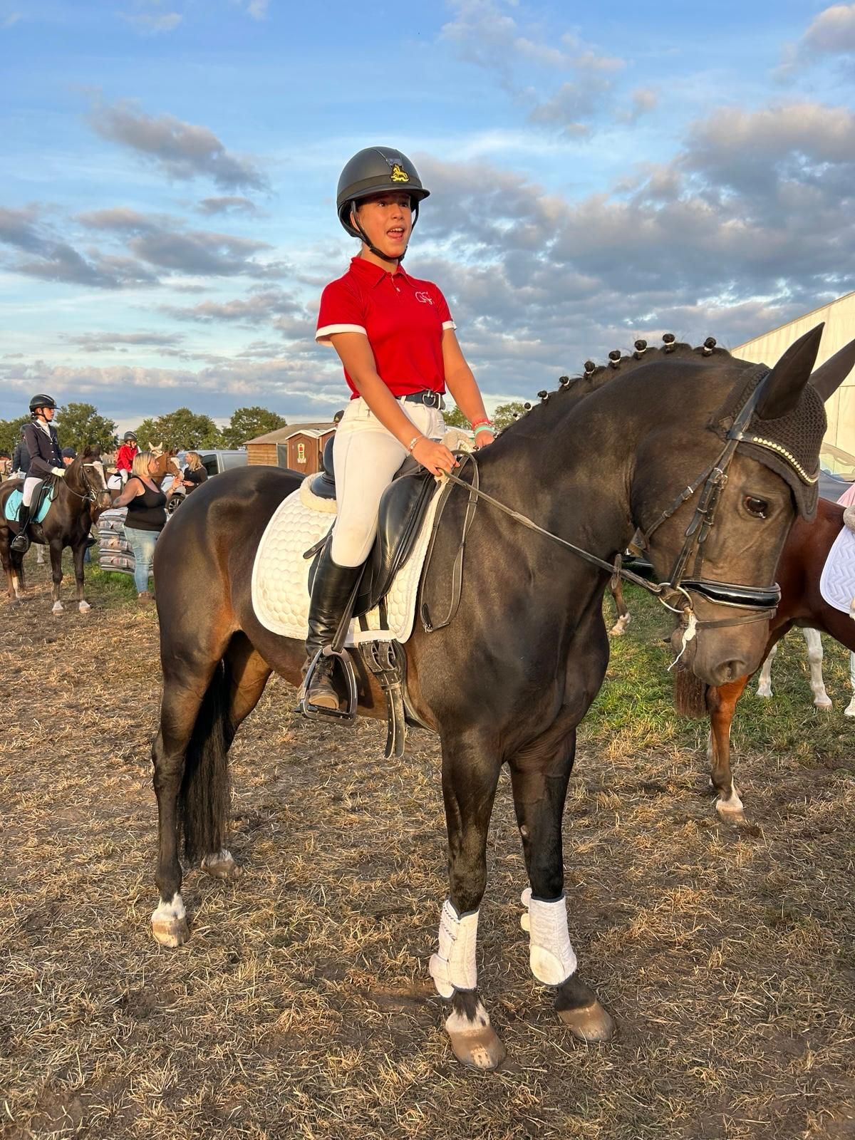 new-forest dressuurpony merrie 8 years old zwart for sale - Photo 2