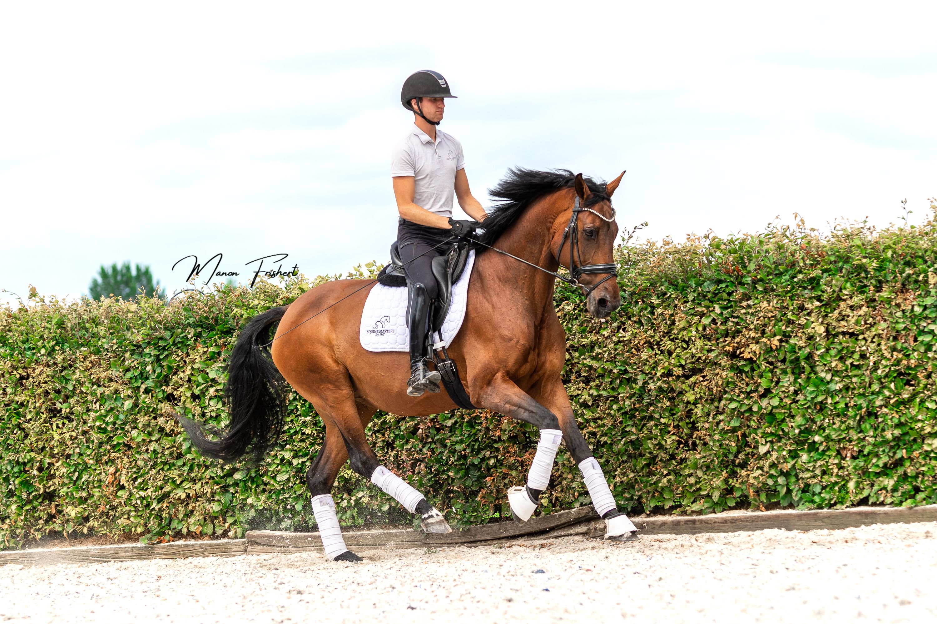 dressuurpaard merrie 13 years old for sale - Photo 2