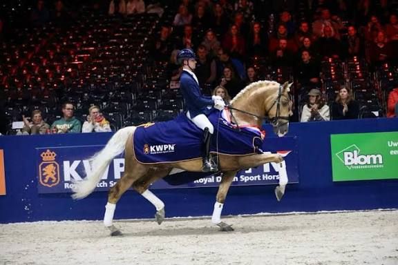 KWPN dressuurpaard merrie 0 ani vos de vânzare - Foto 2