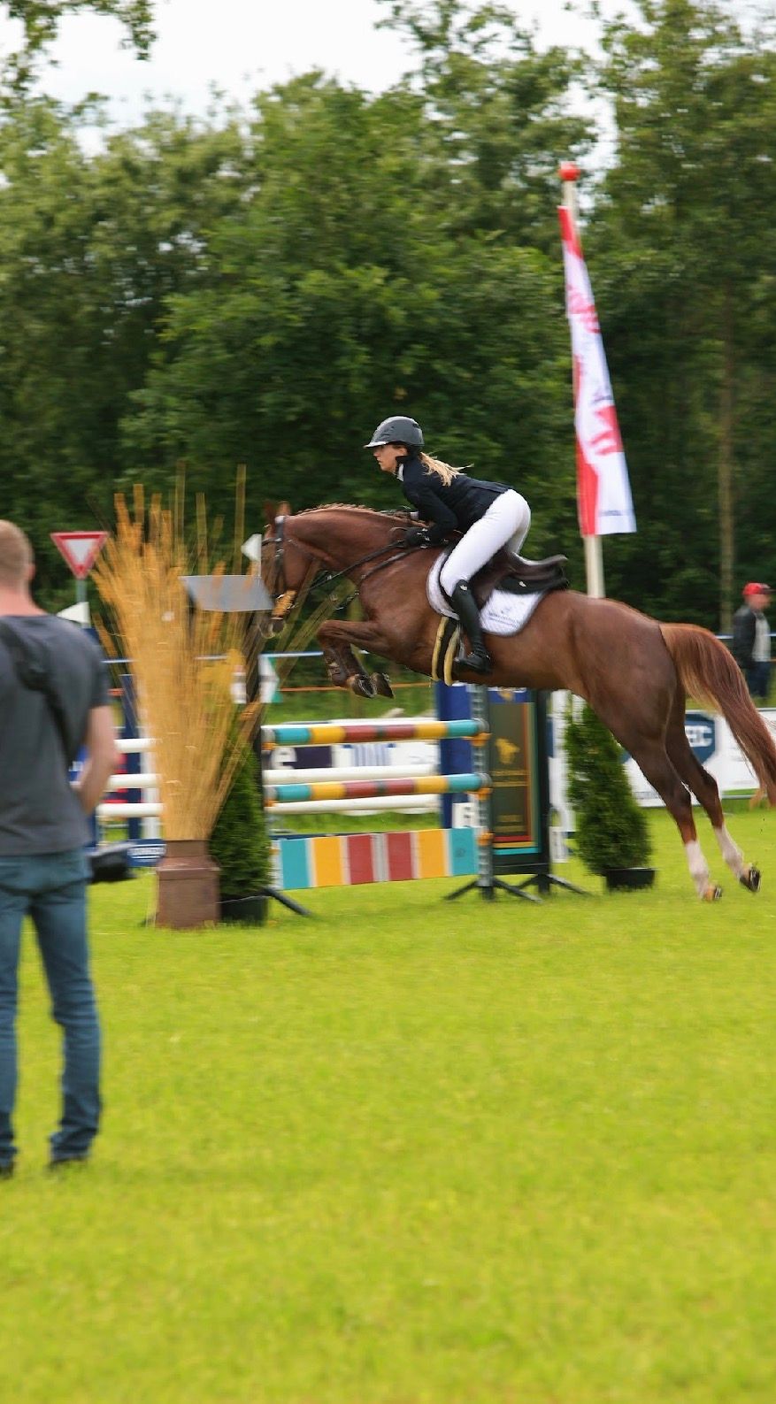kwpn springpaard merrie 5 ans vos à vendre - Photo 3