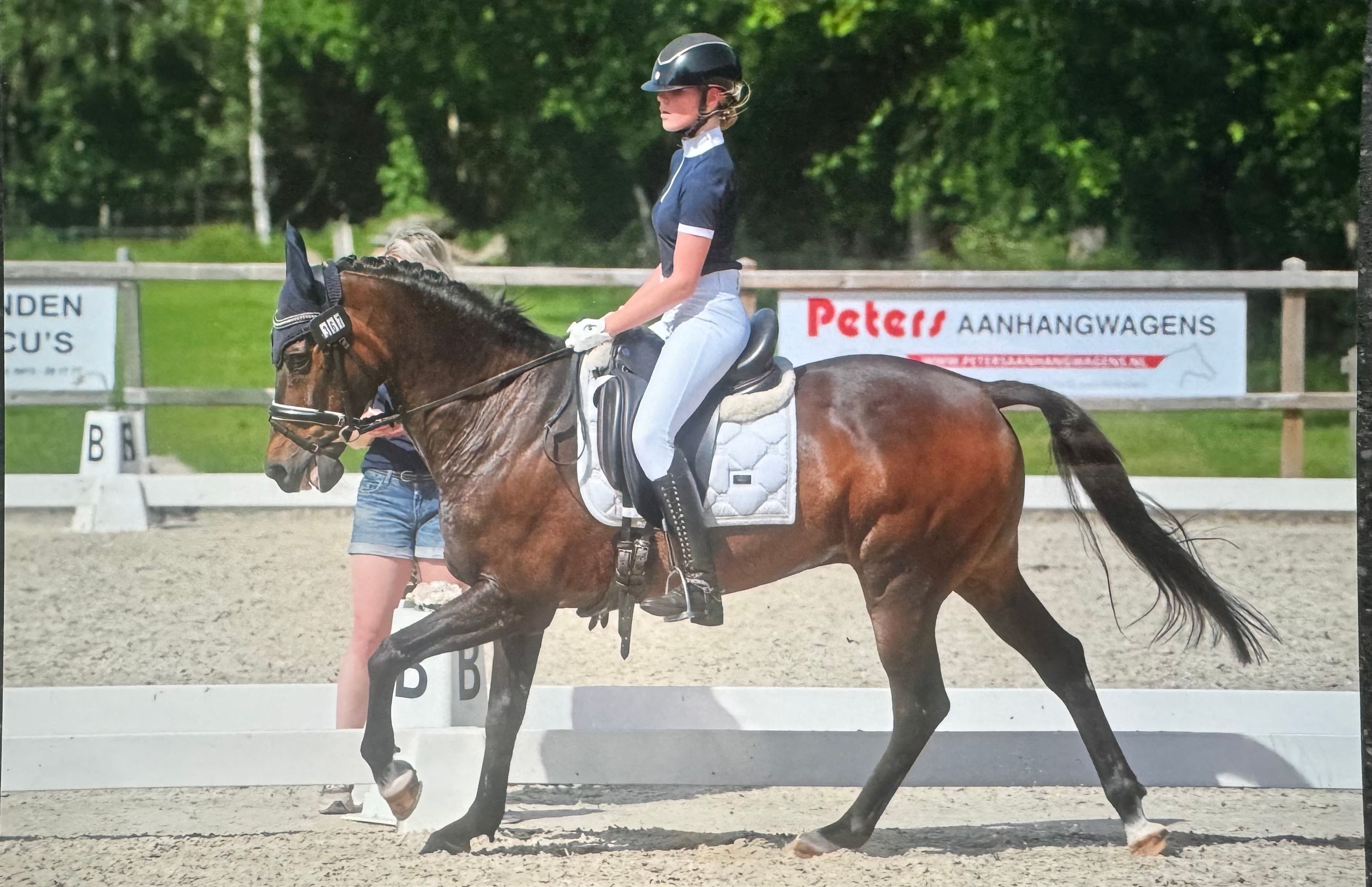 Sweet E pony Z2 dressage