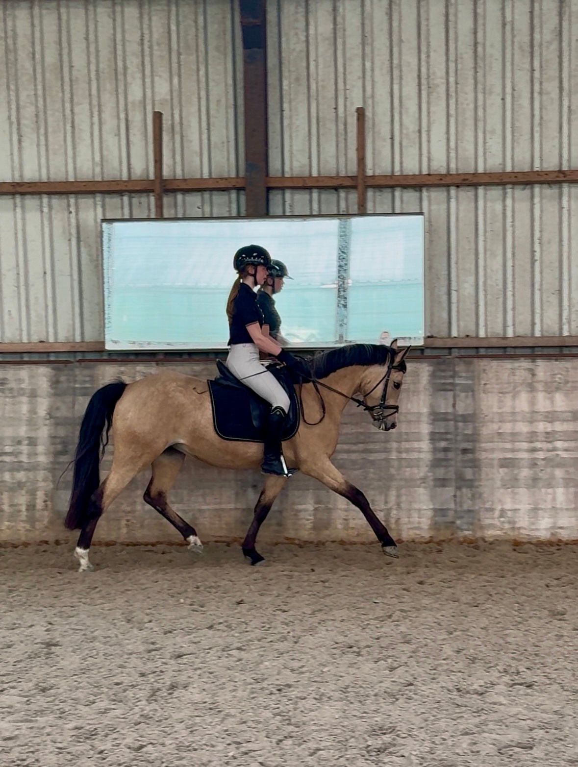 nrps allround-pony merrie 4 years old andere-kleur for sale - Photo 2