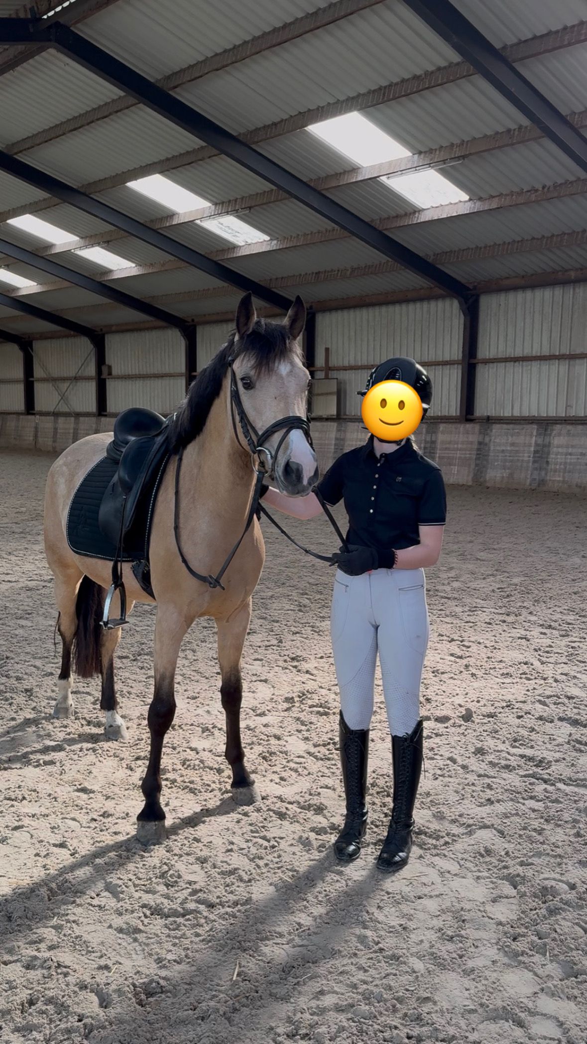 nrps allround-pony merrie 4 years old andere-kleur for sale - Photo 5