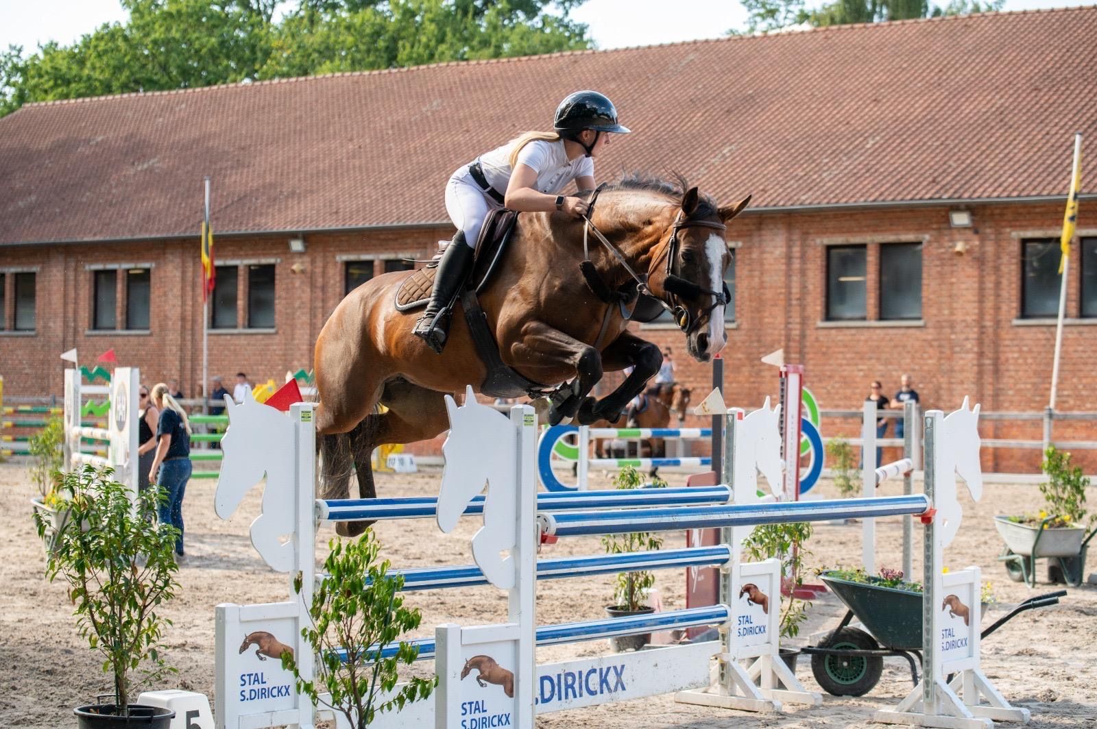 11-year-old mare