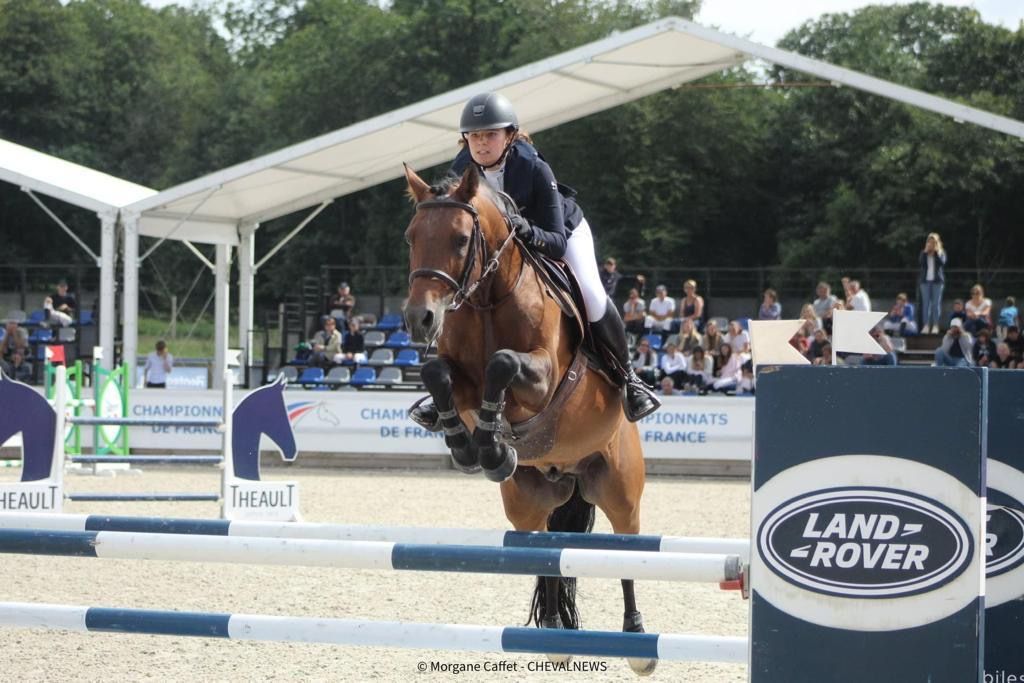 Lämplig läromästare FEI GP hoppnos