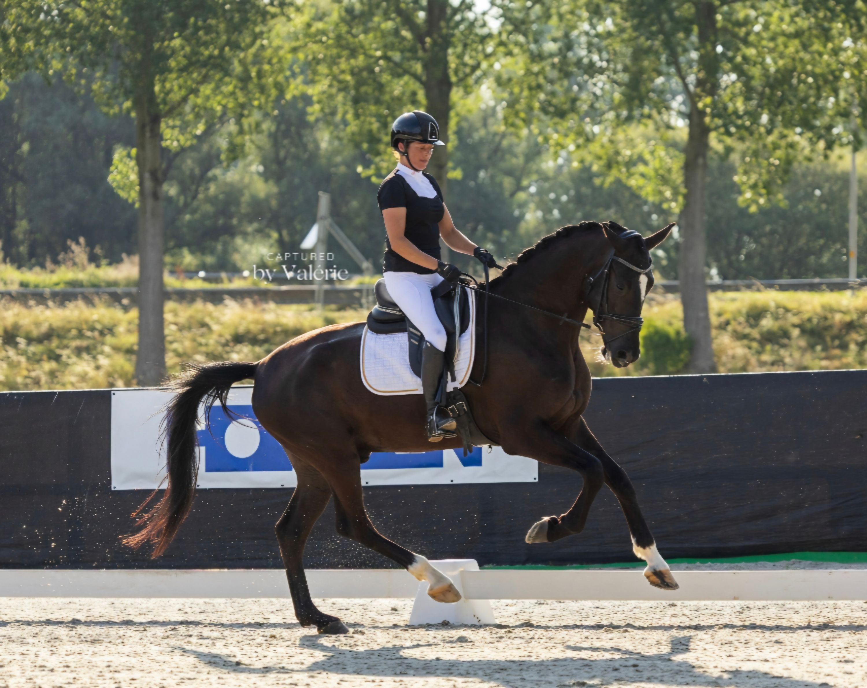 Mega tolles Spitzenpferd