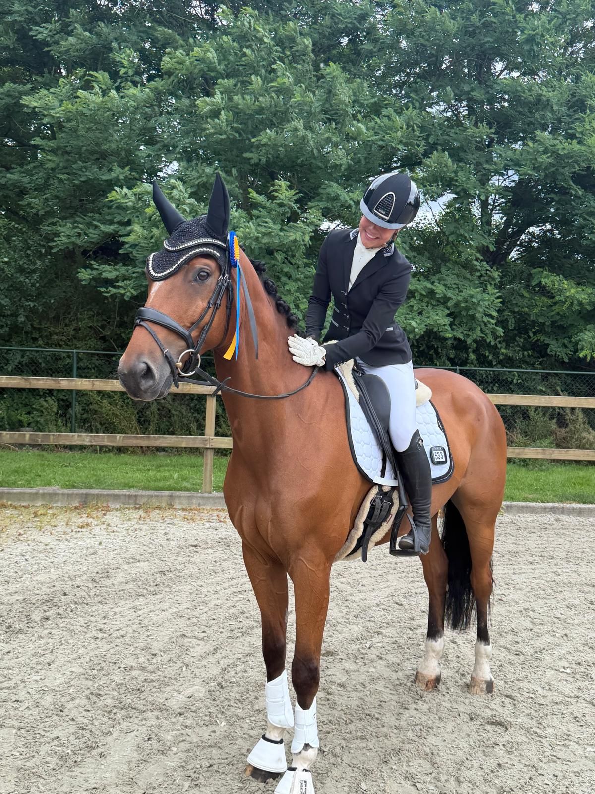 anglo-europees springpaard ruin 8 years old bruin for sale - Photo 6