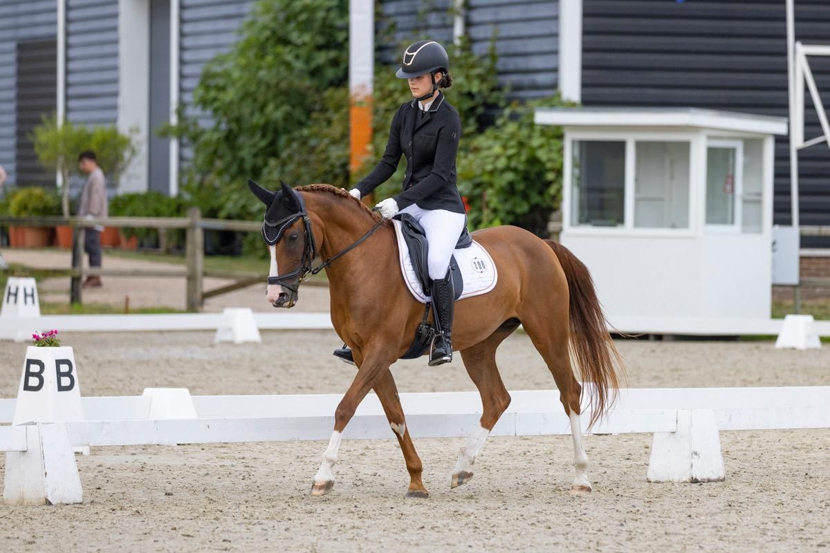 nrps dressuurpony merrie 14 jaar vos te koop - Foto 3