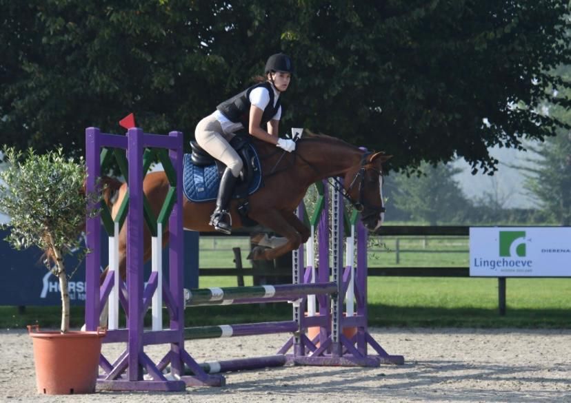 nrps dressuurpony merrie 14 jaar vos te koop - Foto 5