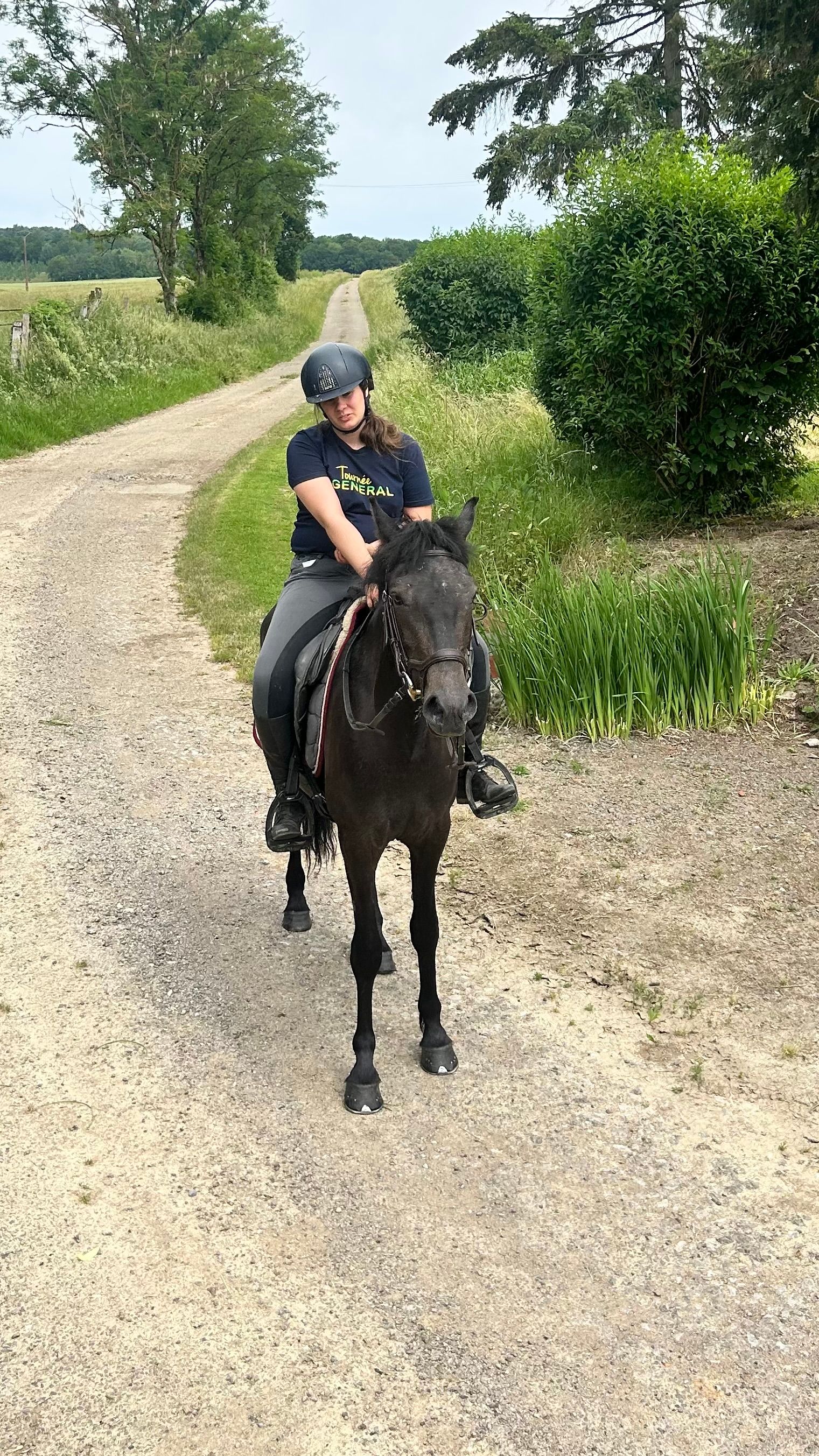 ander allround-pony ruin 3 years old schimmel for sale - Photo 3