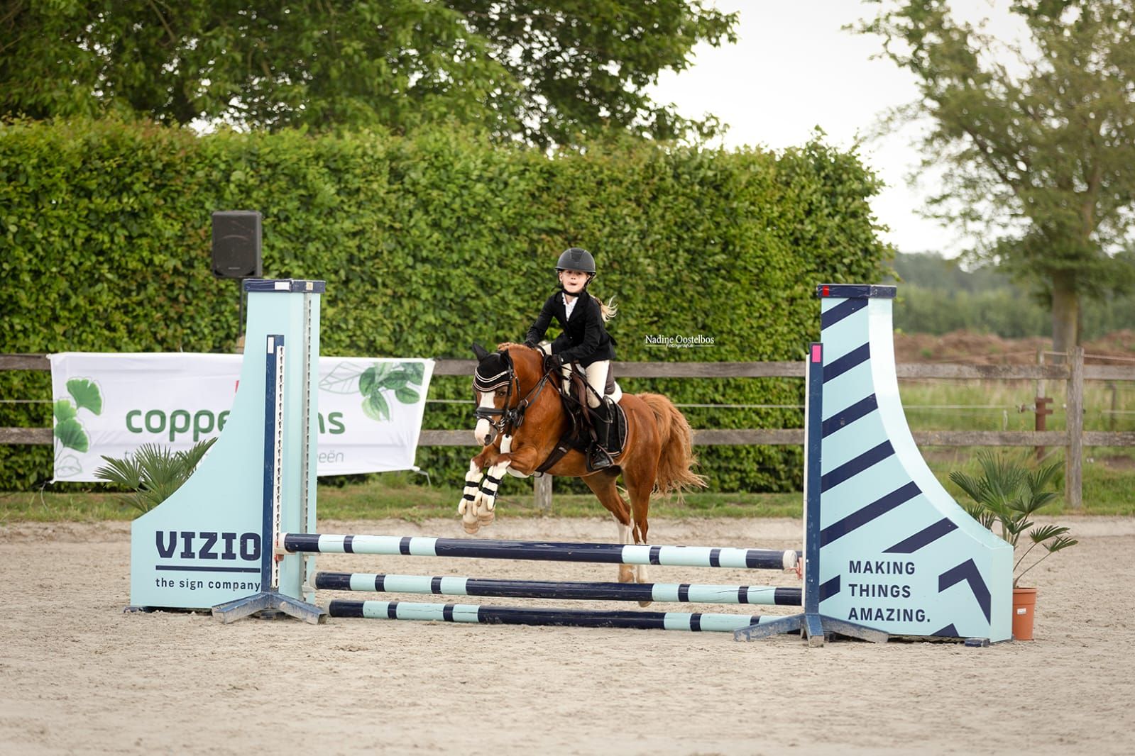 Prachtige B pony 