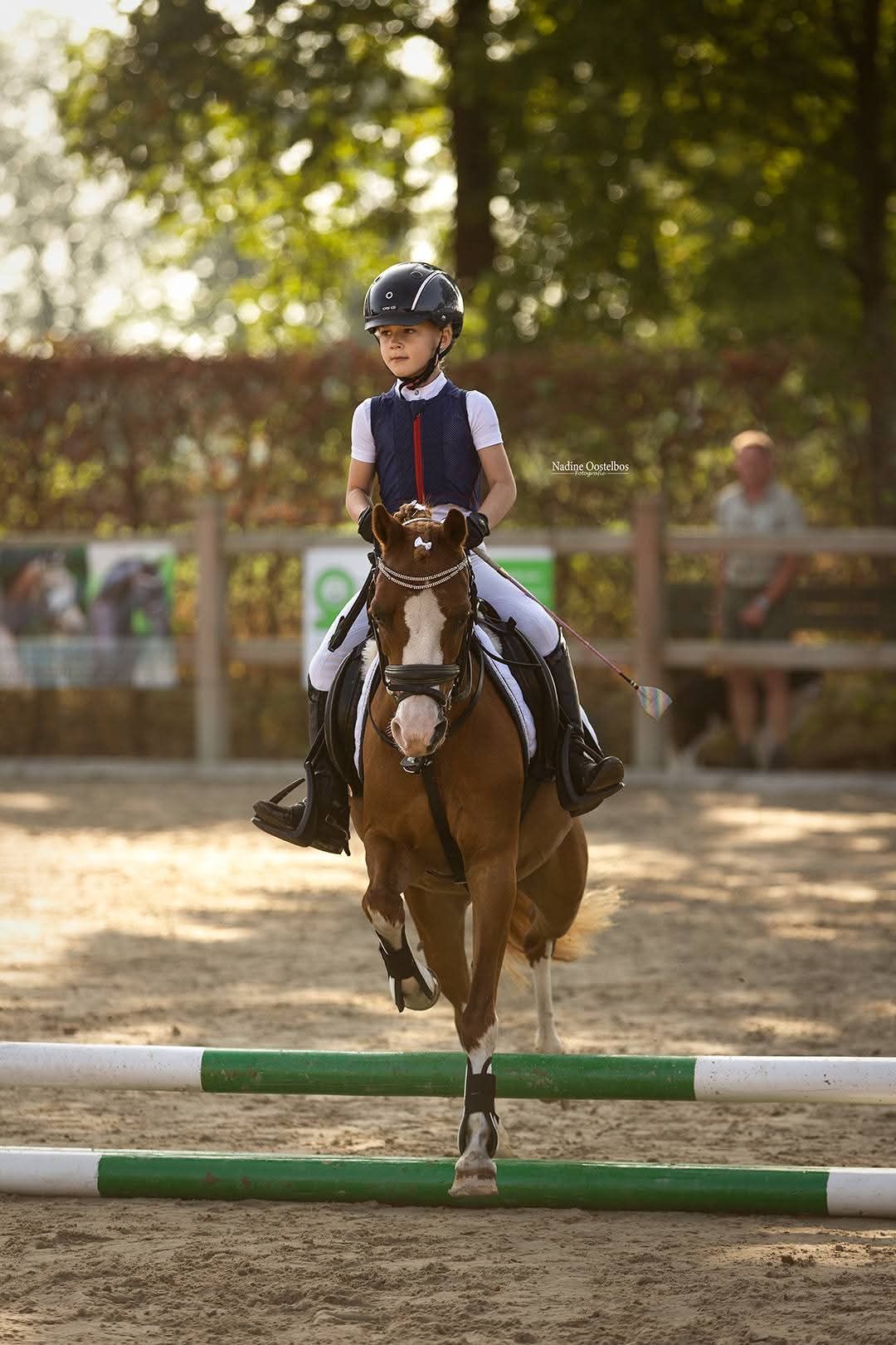 welsh allround-pony merrie 19 jaar vos te koop - Foto 4